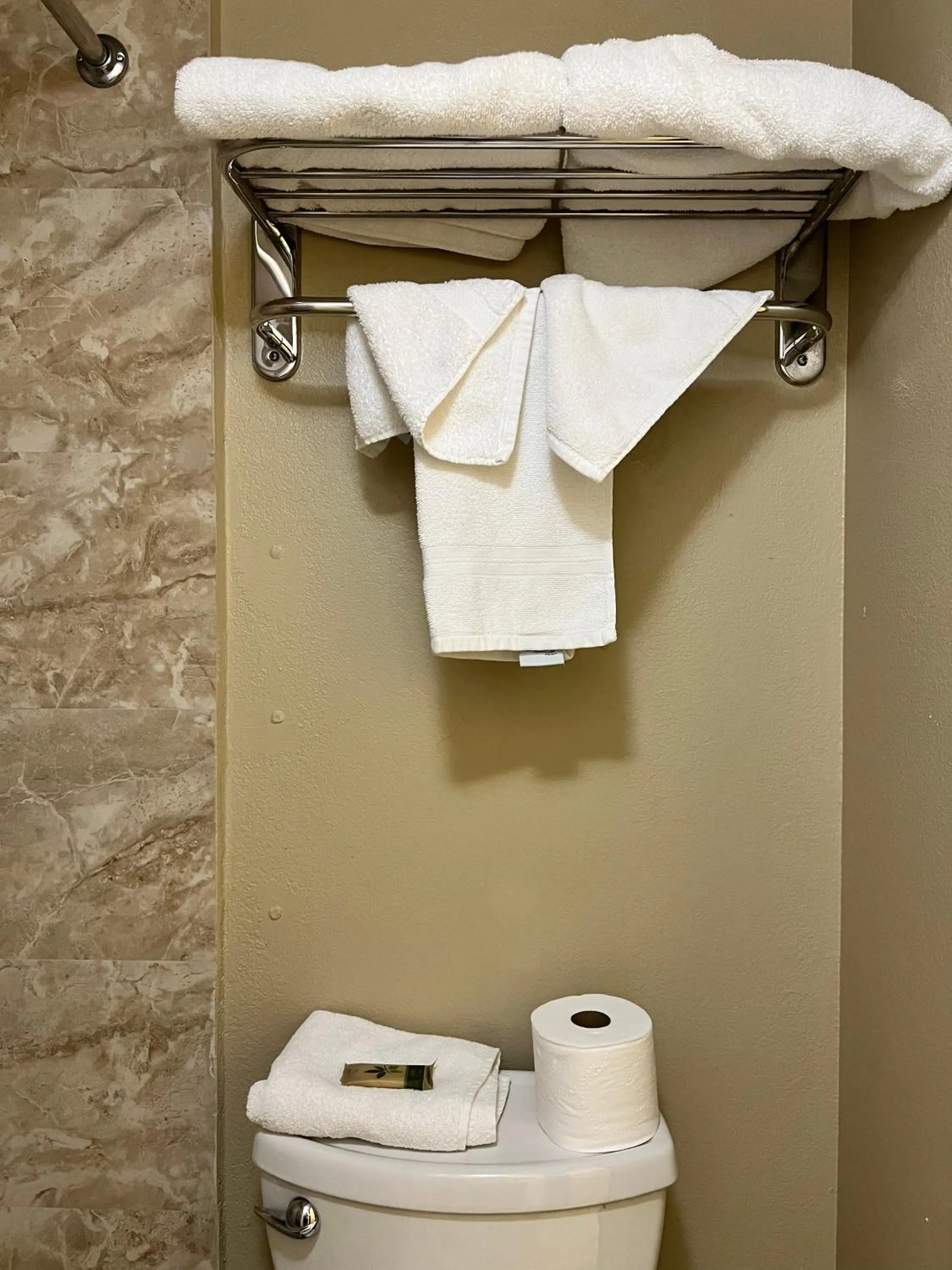 Toilet in Highland Inn Las Vegas