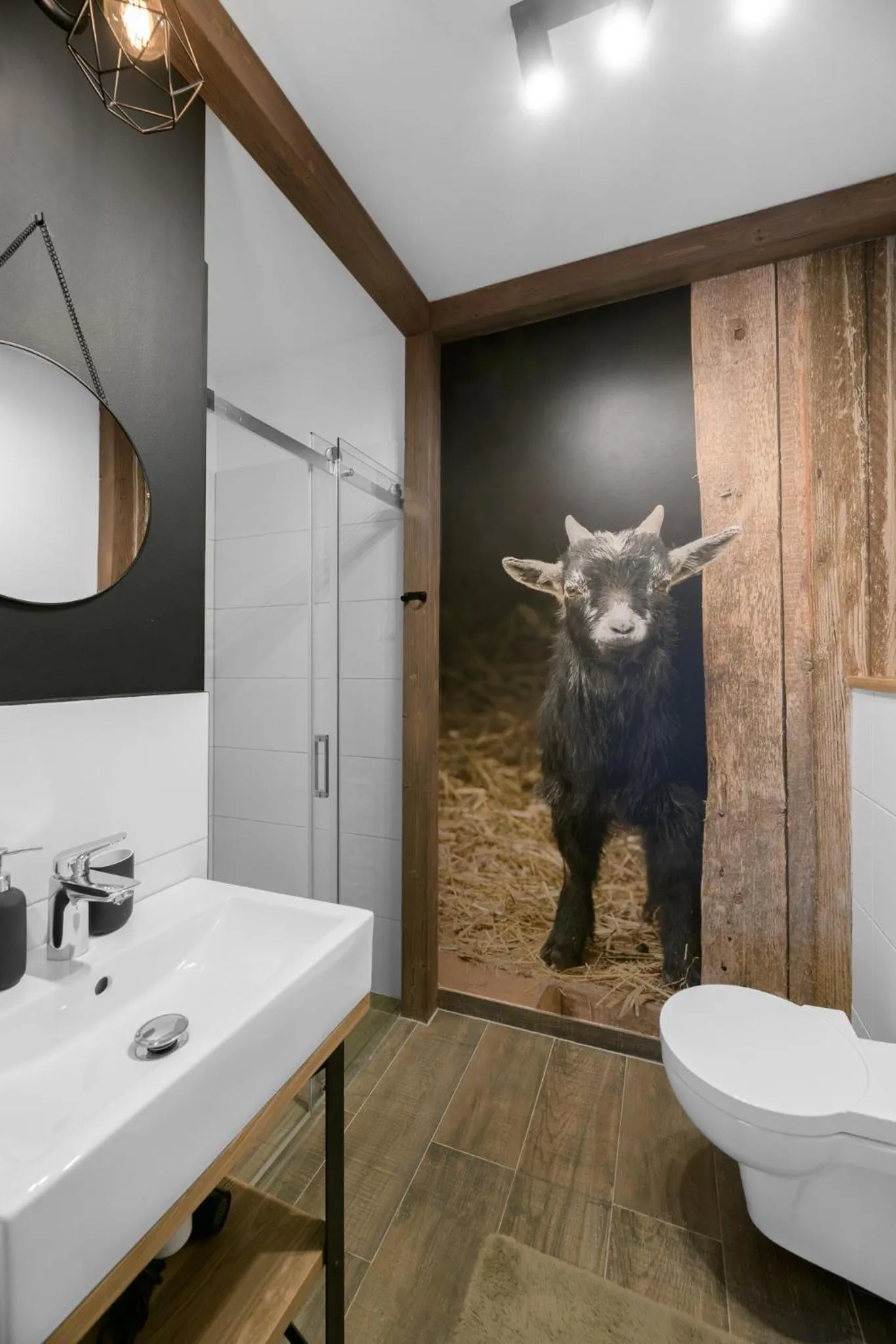 Toilet in Aparthotel Narciarska 2