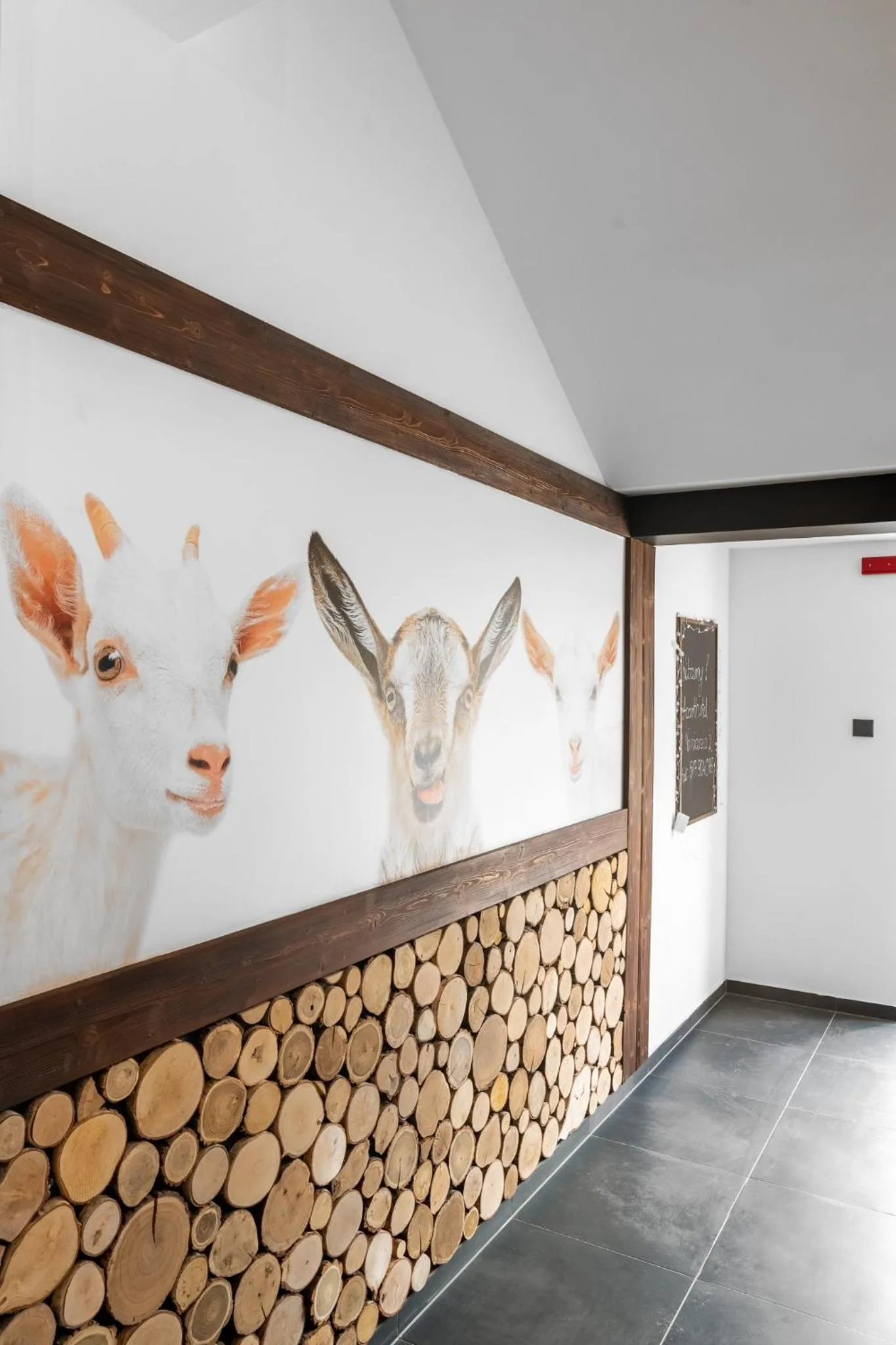 Other in Aparthotel Narciarska 2