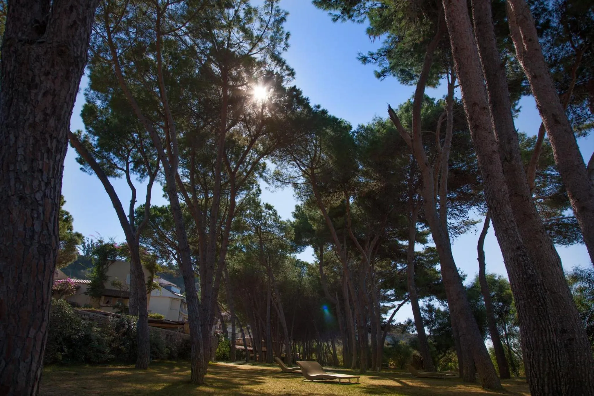 Natural landscape in Praia Art Resort - Small Luxury Hotels of the world