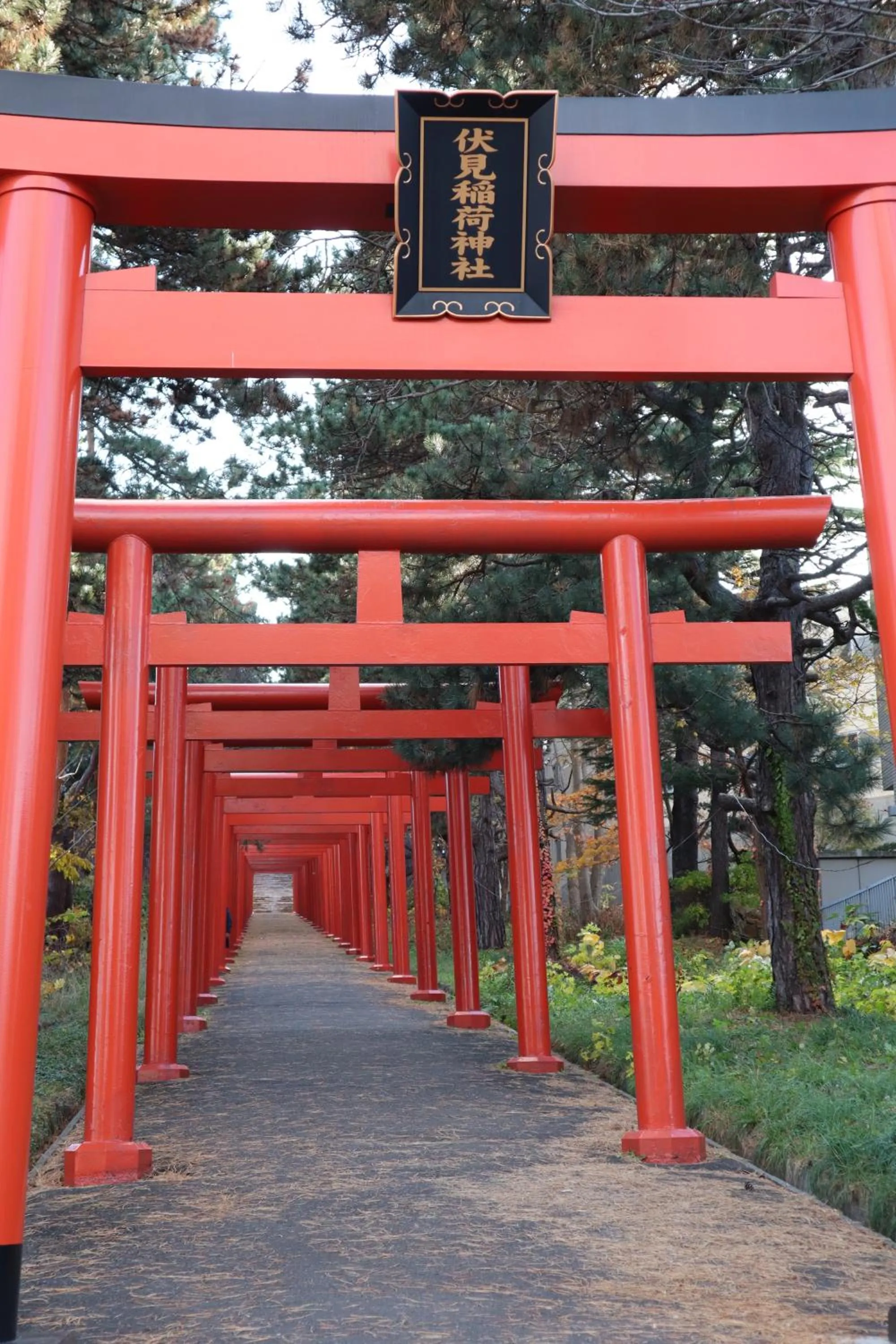 Nearby landmark in STAY Moiwayama