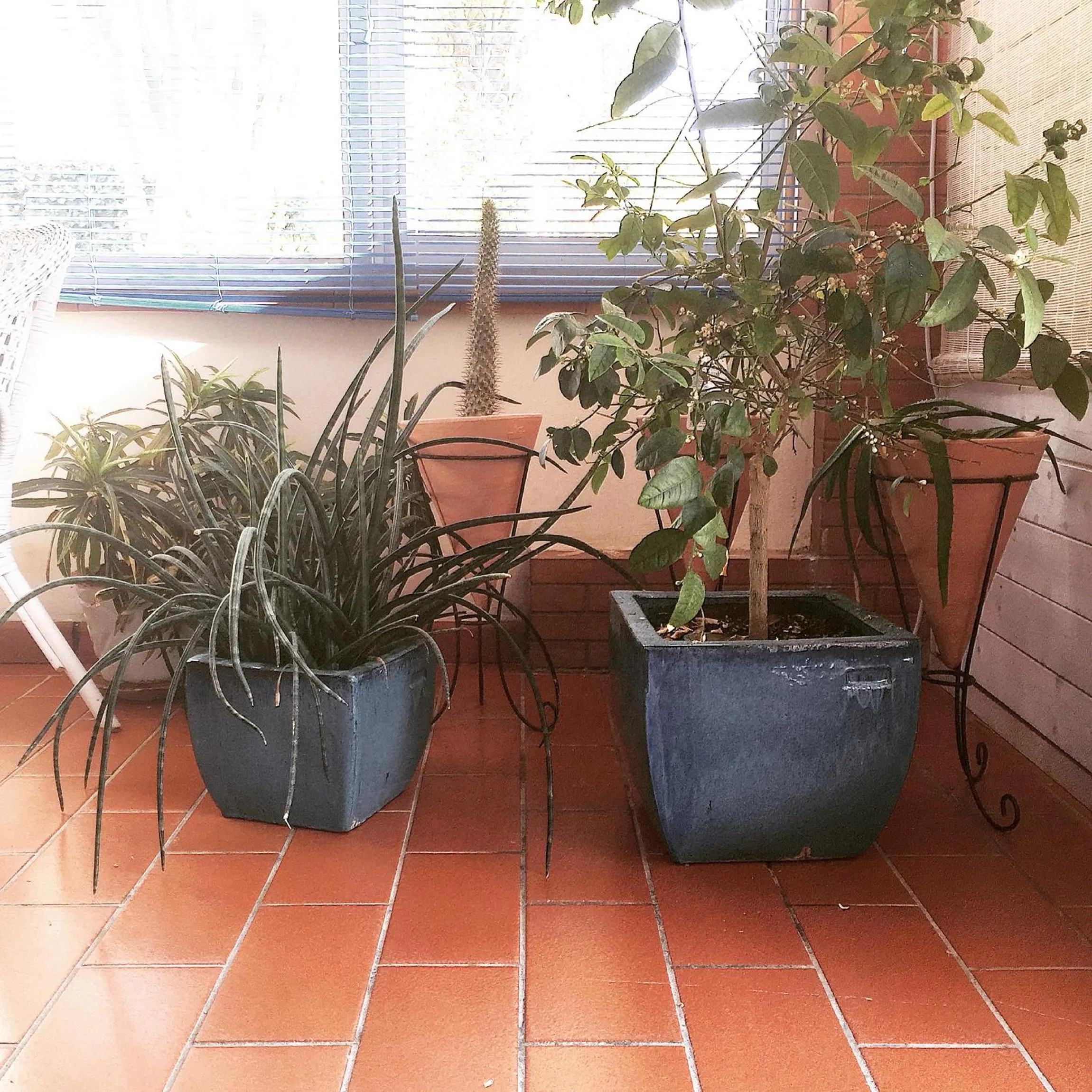 View (from property/room) in Villa Cetta B&B