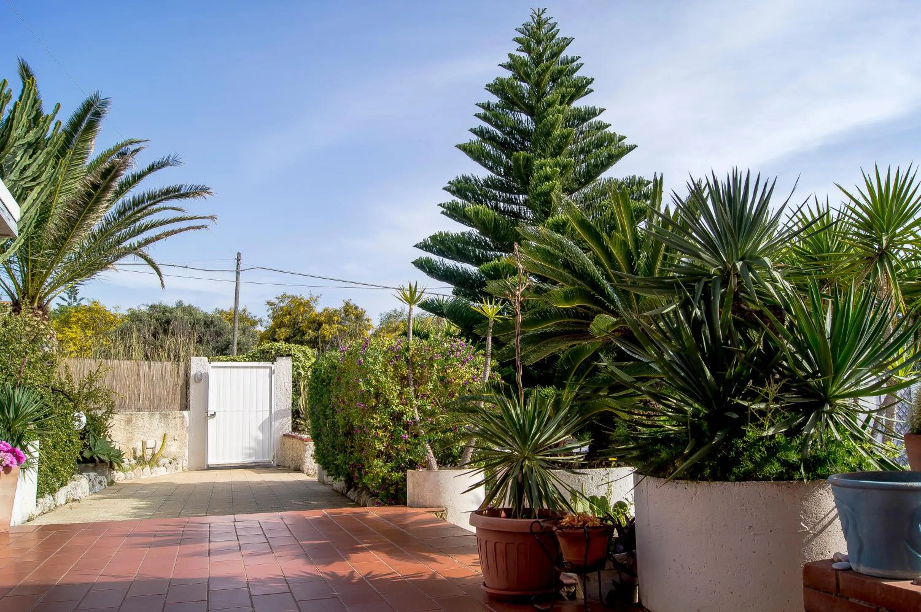 Garden in Villa Cetta B&B