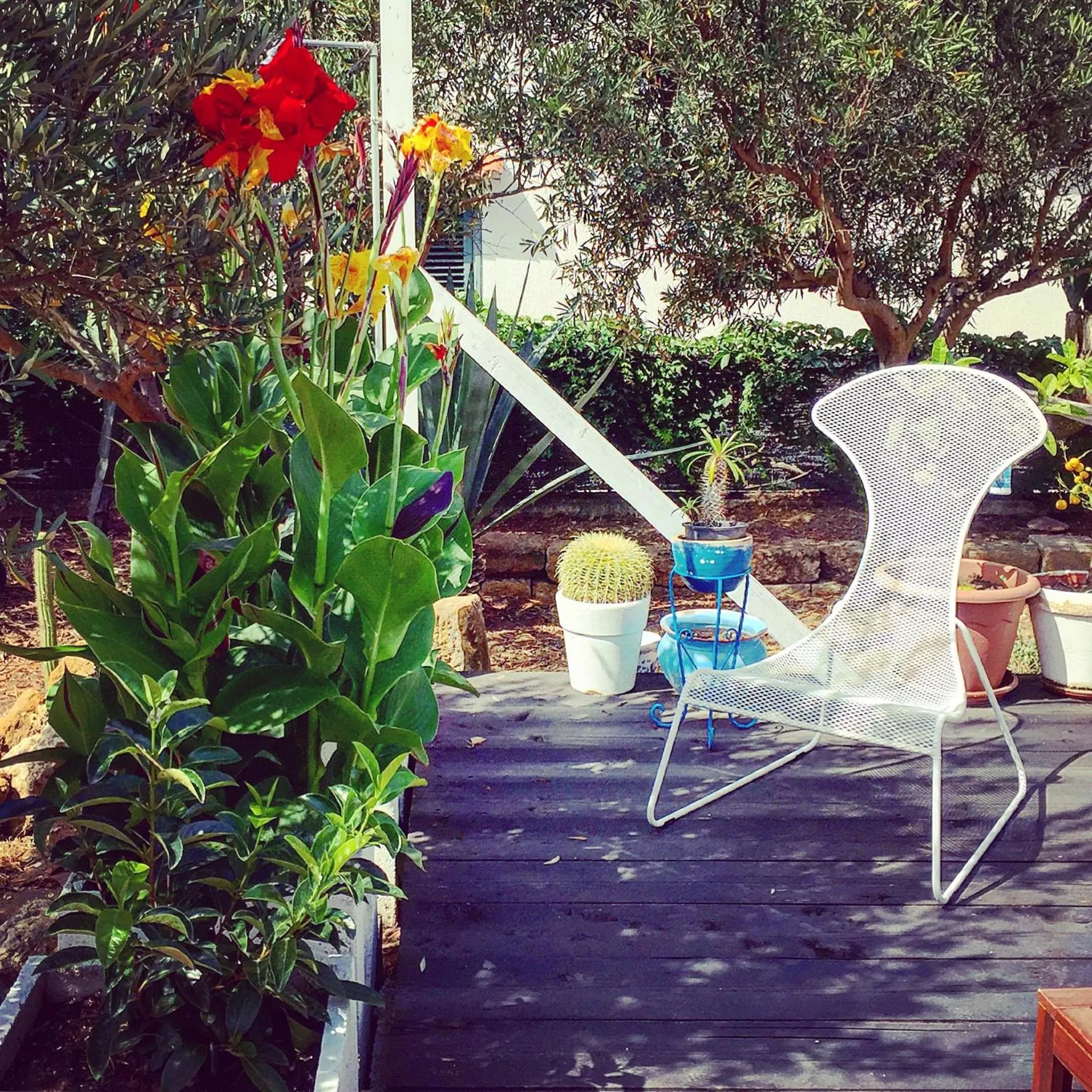 Garden in Villa Cetta B&B