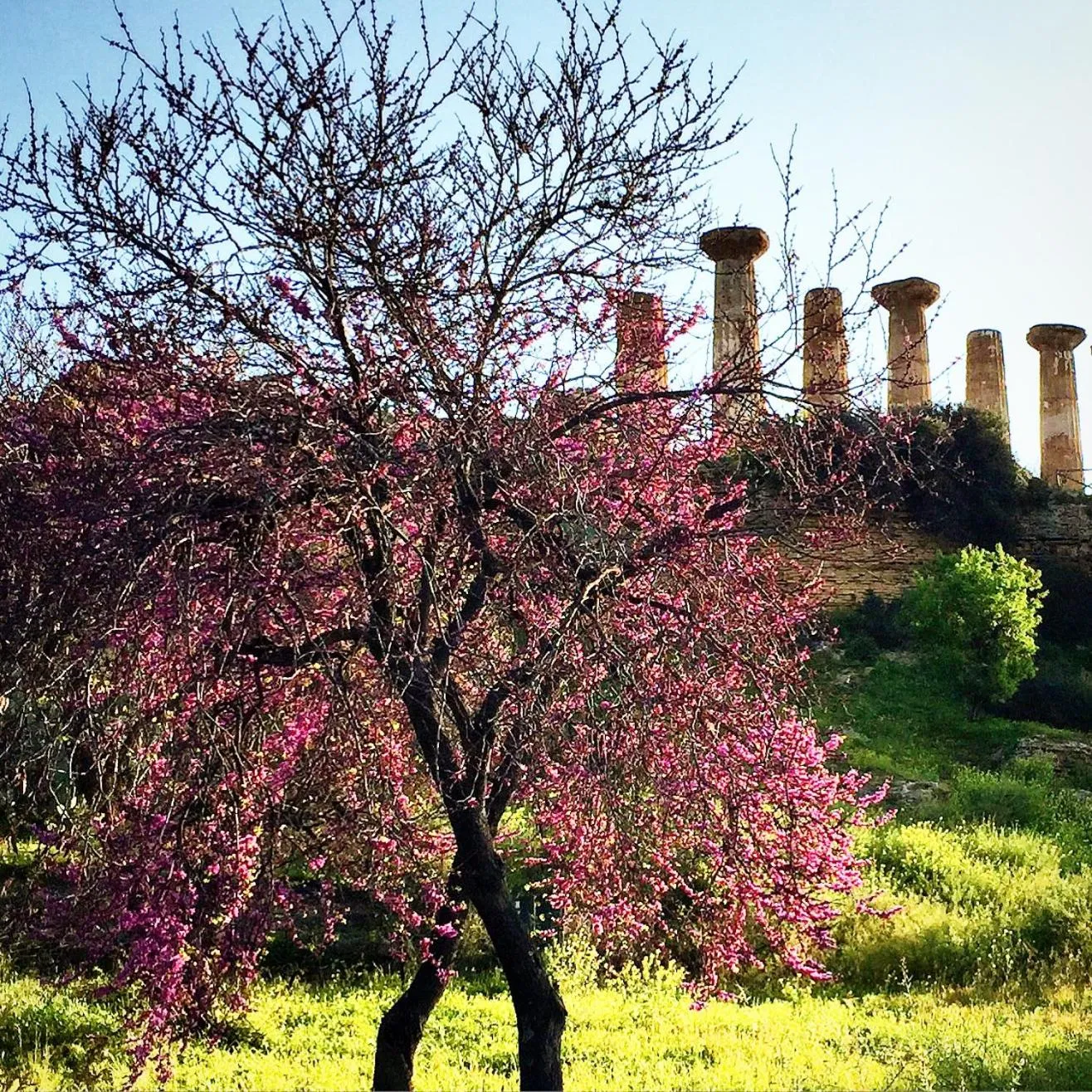 Nearby landmark in Villa Cetta B&B