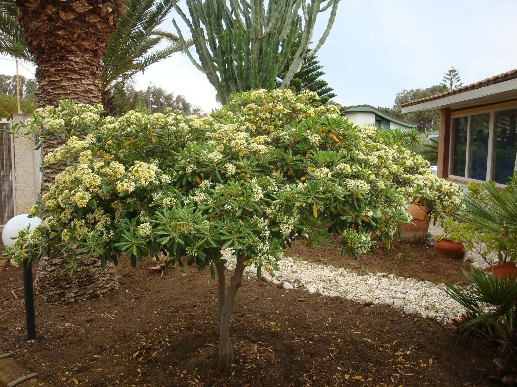 Spring in Villa Cetta B&B