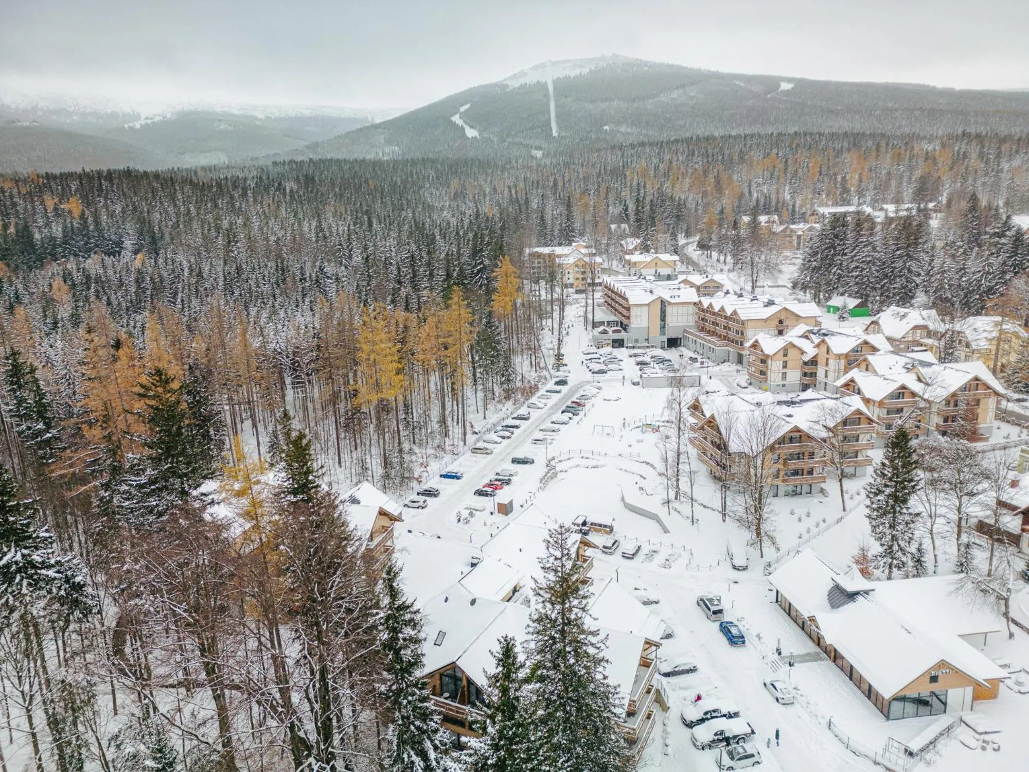 Property building in Platinum Apartments