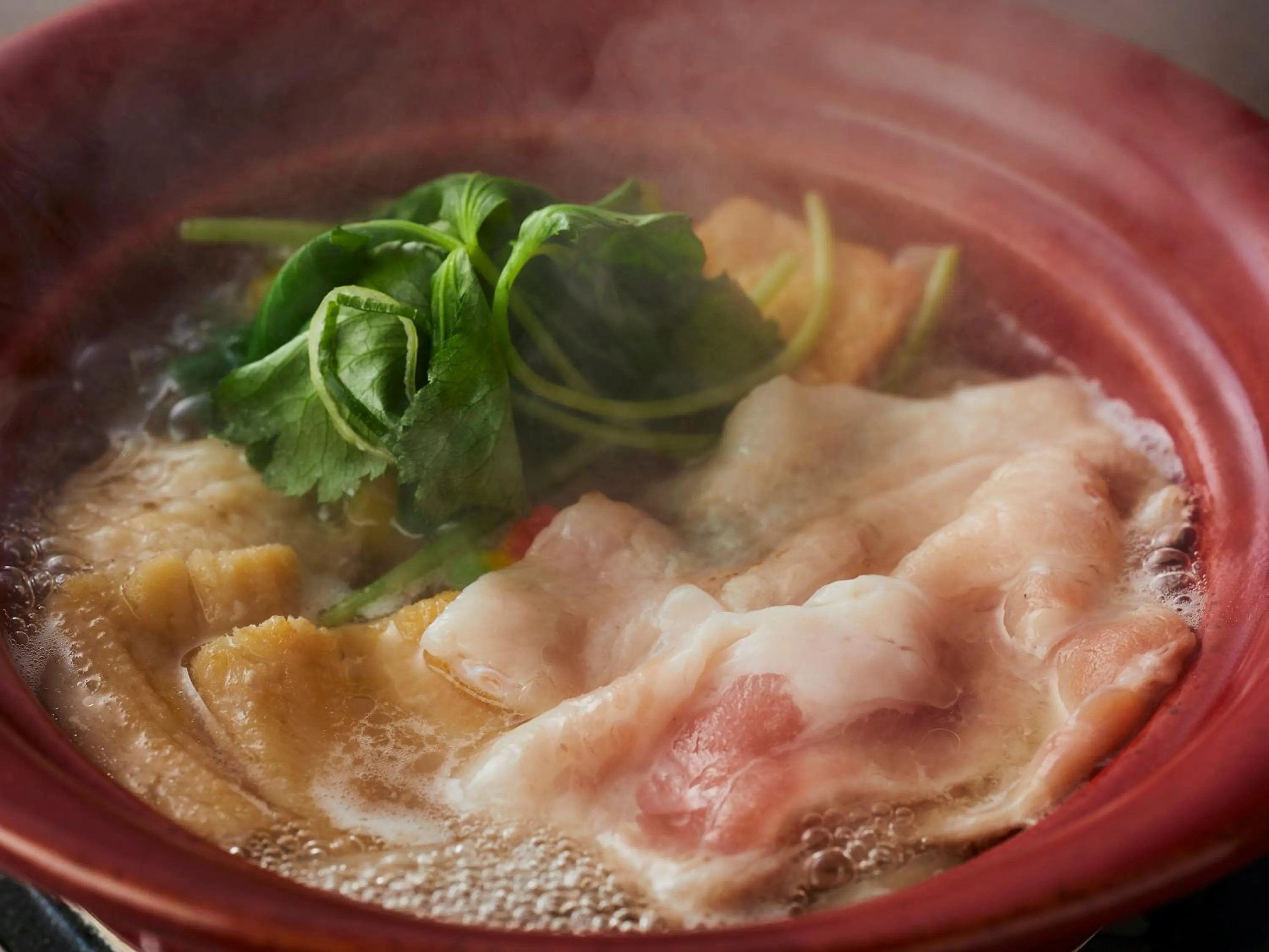 Dinner in KAMENOI HOTEL Tondabayashi