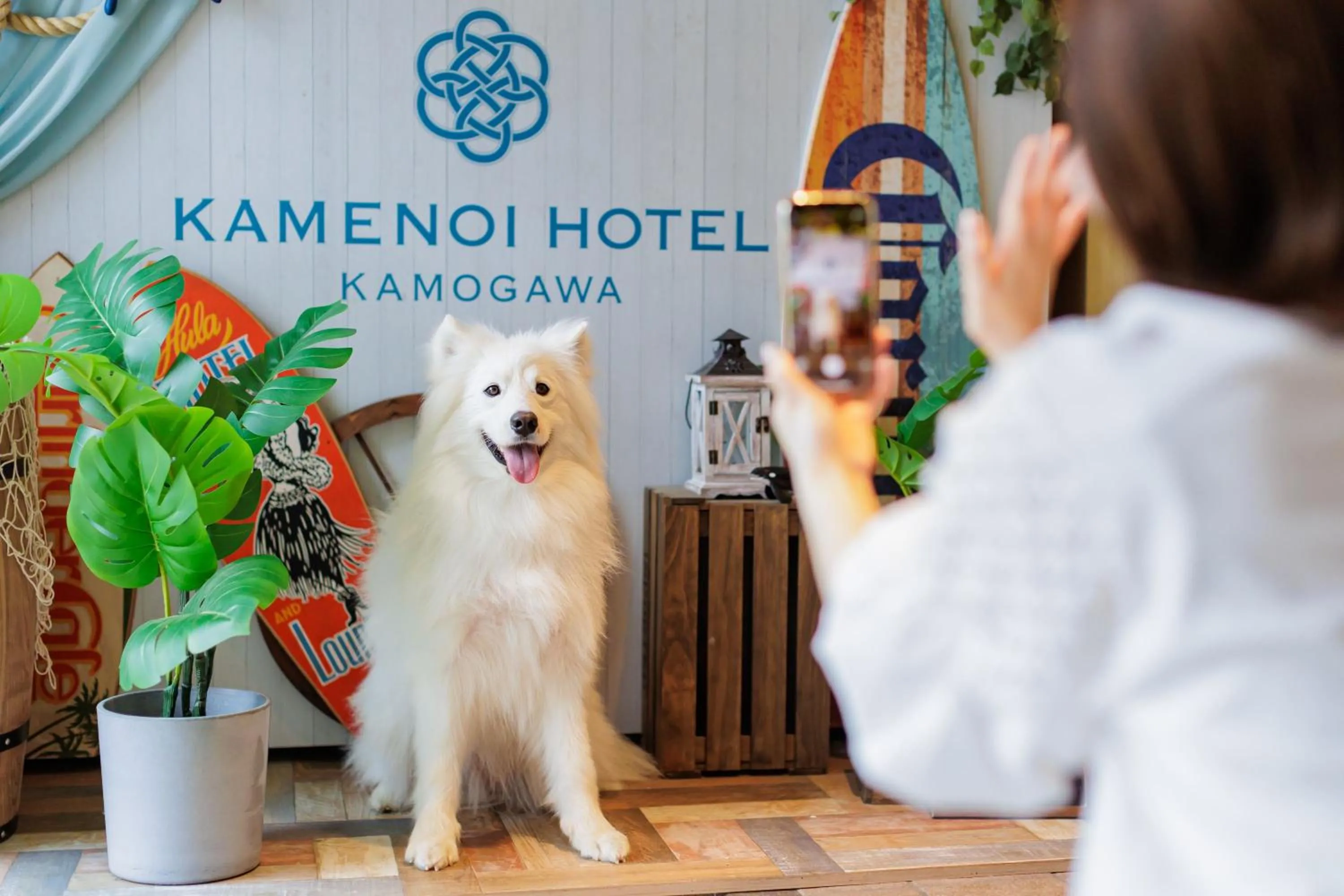 Pets in KAMENOI HOTEL Kamogawa