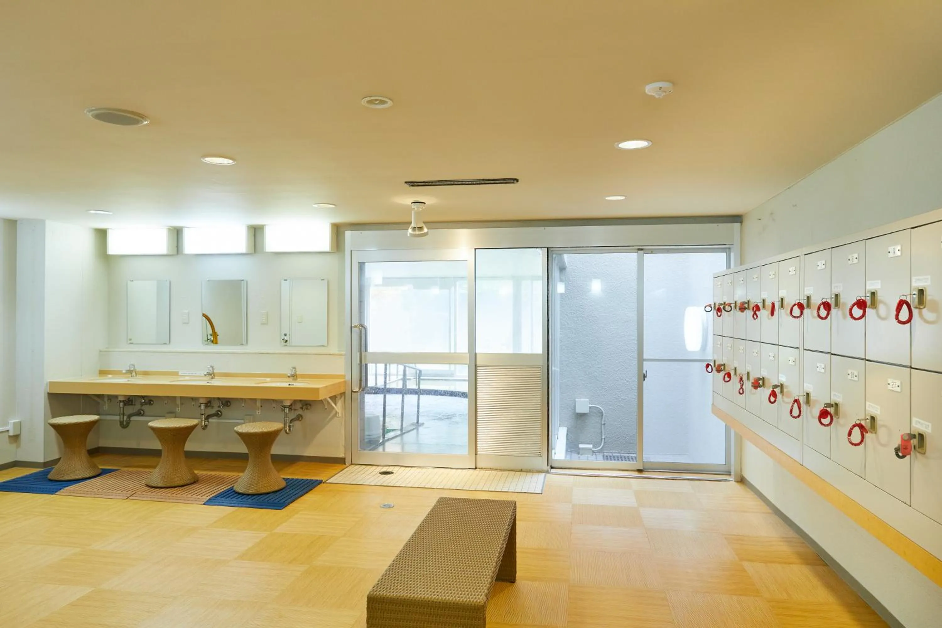 Hot Spring Bath in KAMENOI HOTEL SHIOBARA Dog Friendly Hotel