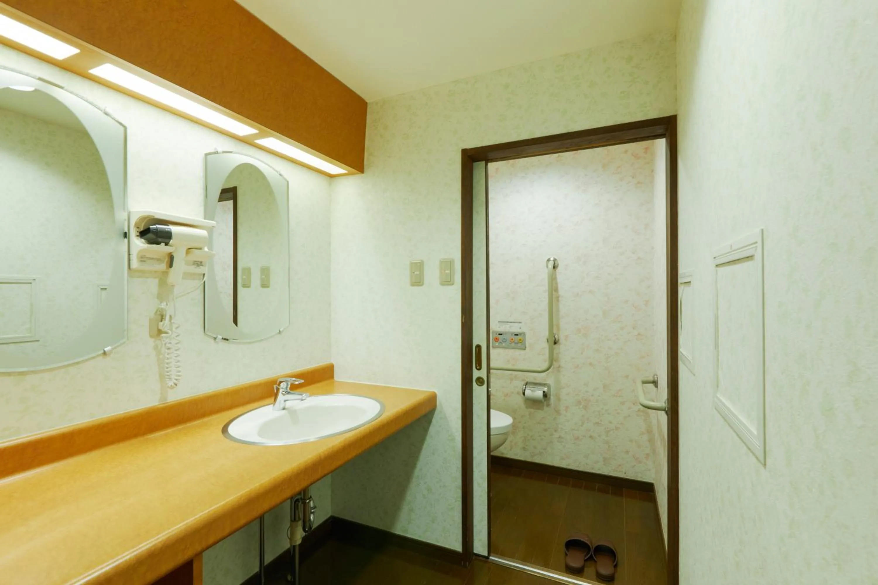 Photo of the whole room in KAMENOI HOTEL SHIOBARA Dog Friendly Hotel