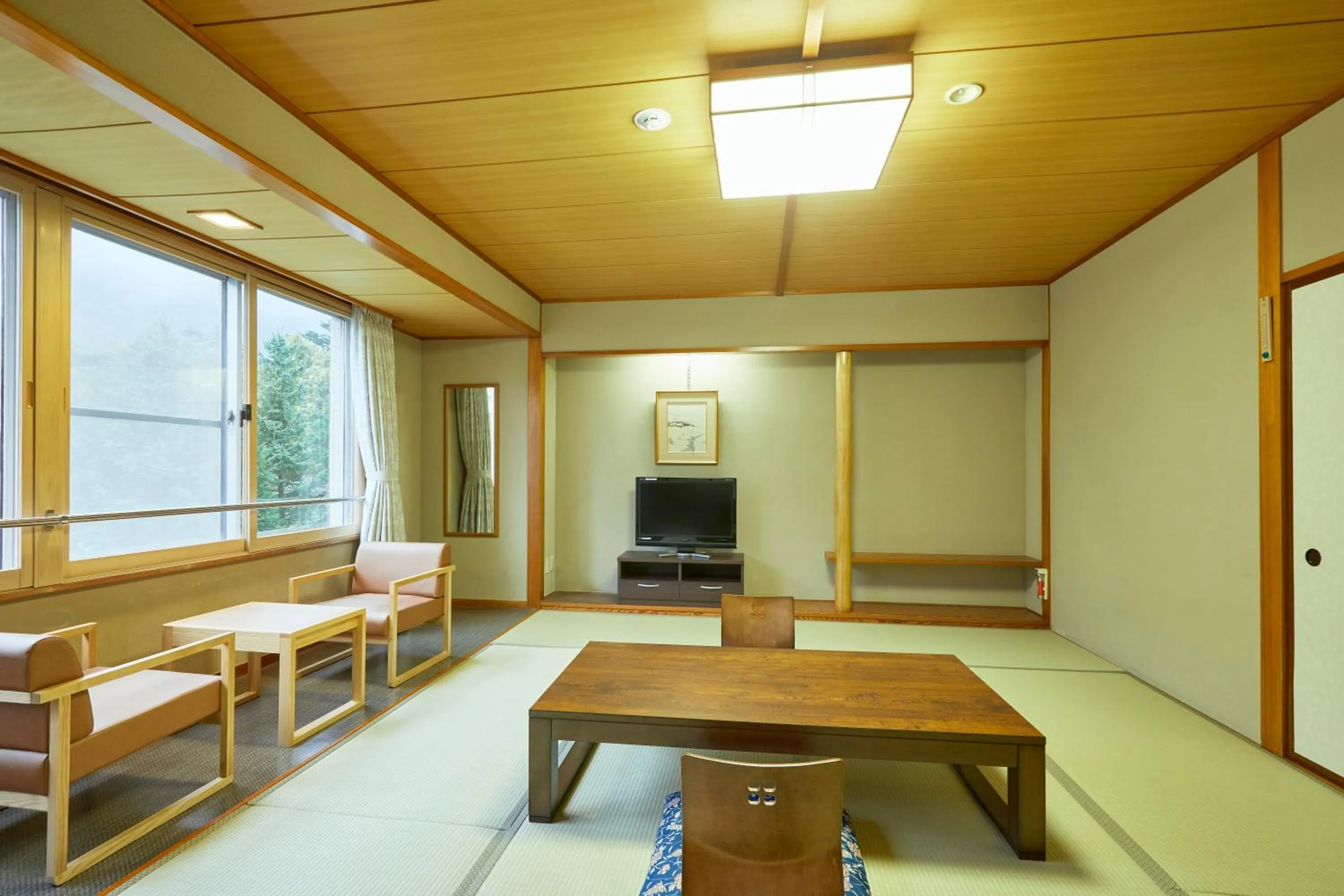 Photo of the whole room in KAMENOI HOTEL SHIOBARA Dog Friendly Hotel