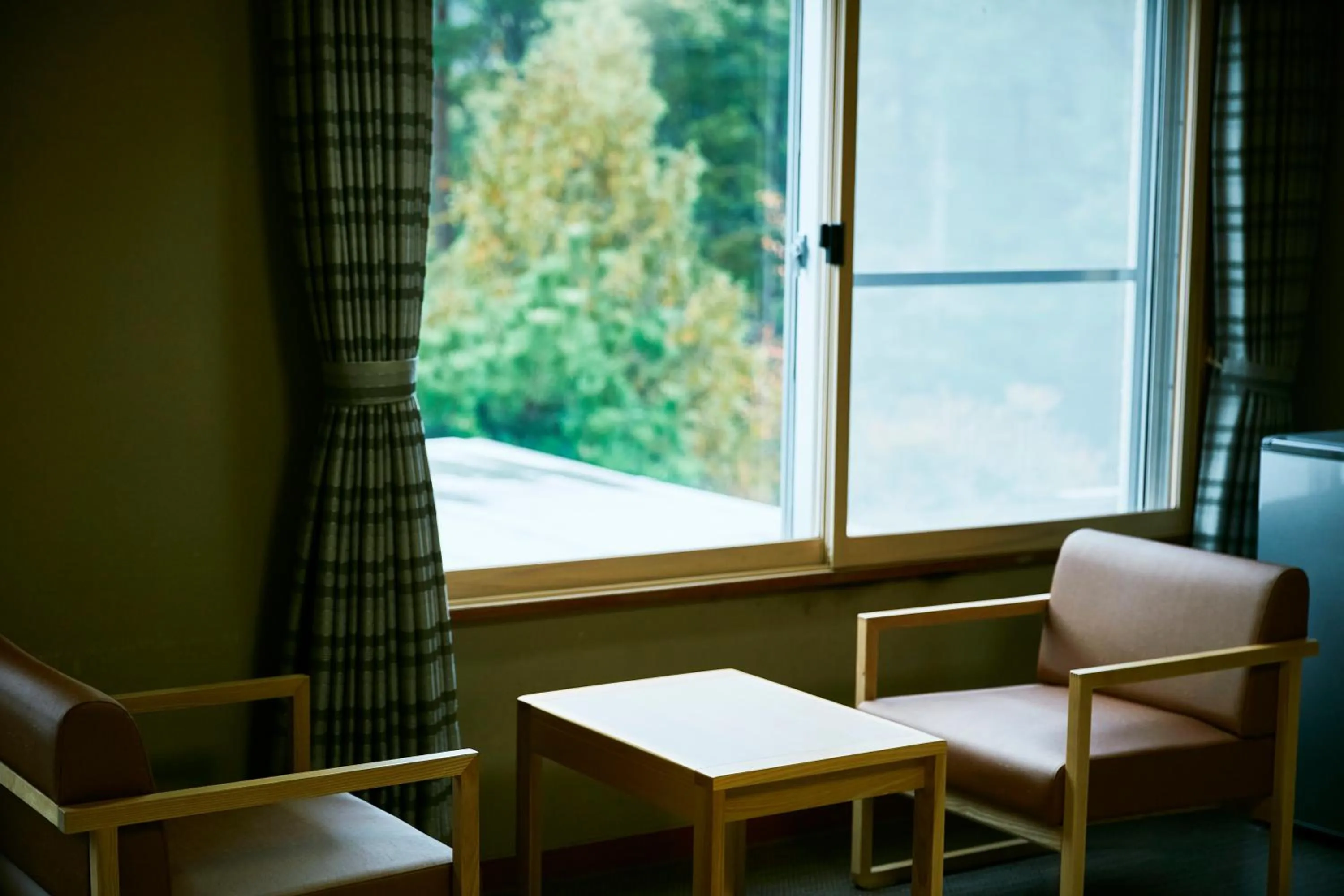 Photo of the whole room in KAMENOI HOTEL SHIOBARA Dog Friendly Hotel
