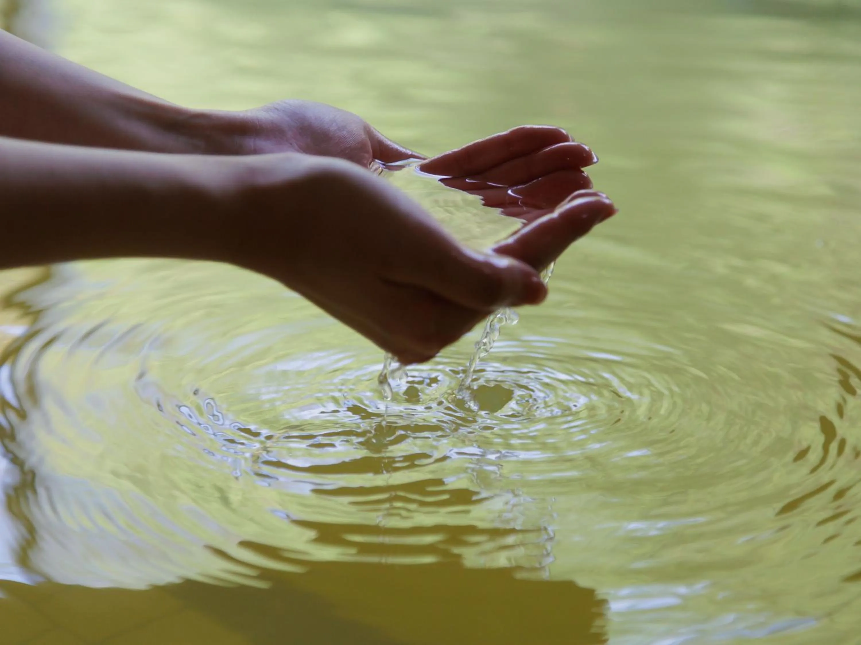 Hot Spring Bath in KAMENOI HOTEL SHIOBARA Dog Friendly Hotel