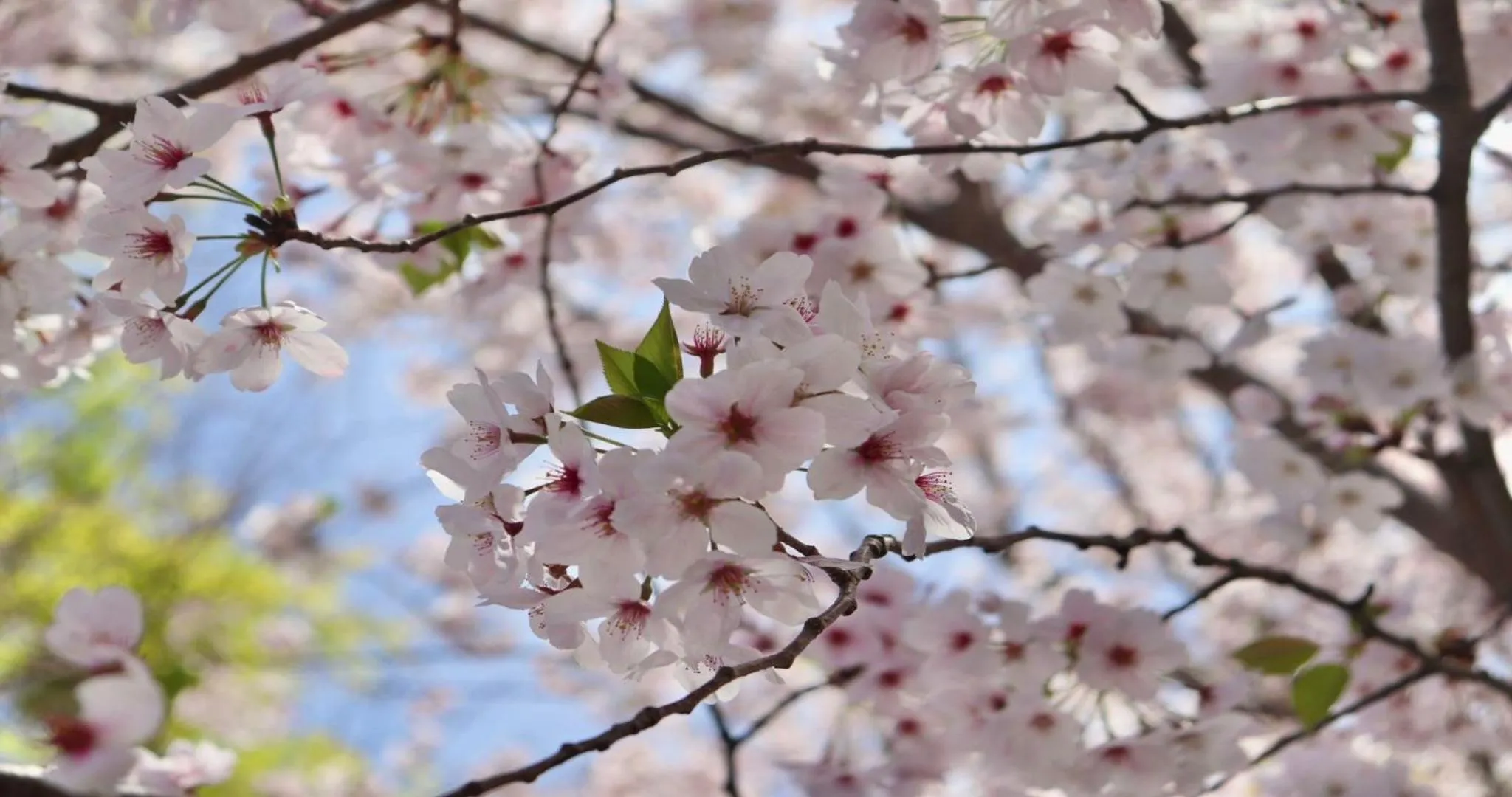 Nearby landmark in KAMENOI HOTEL Kii-Tanabe