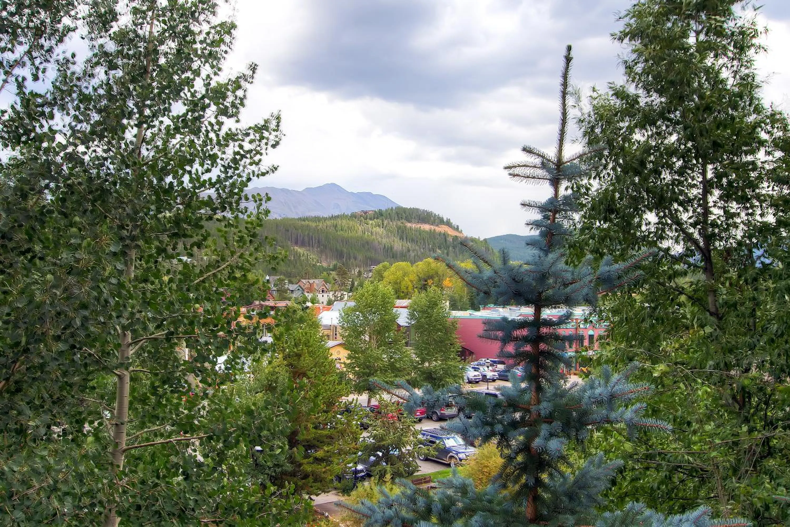 View (from property/room) in River Mountain Lodge