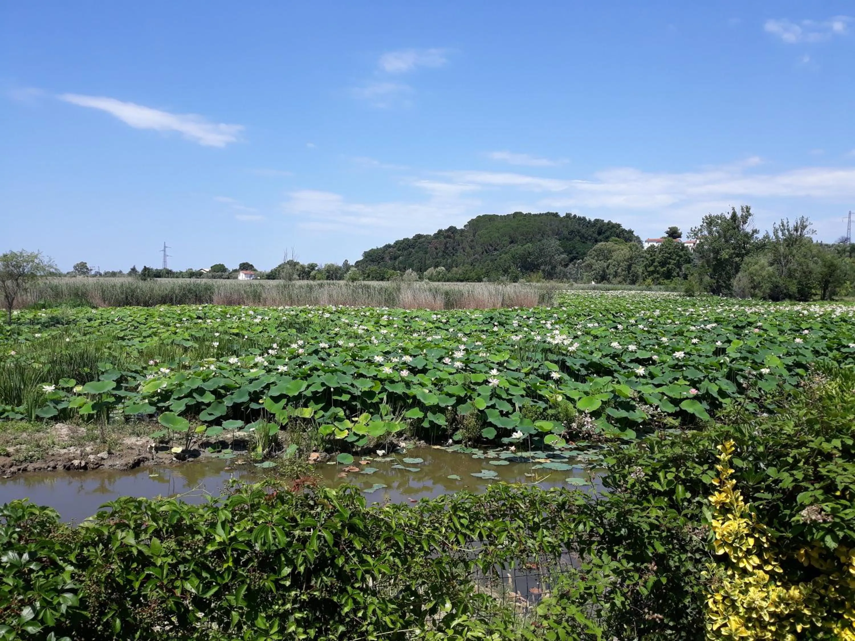 Lake view in Cecco di Nara