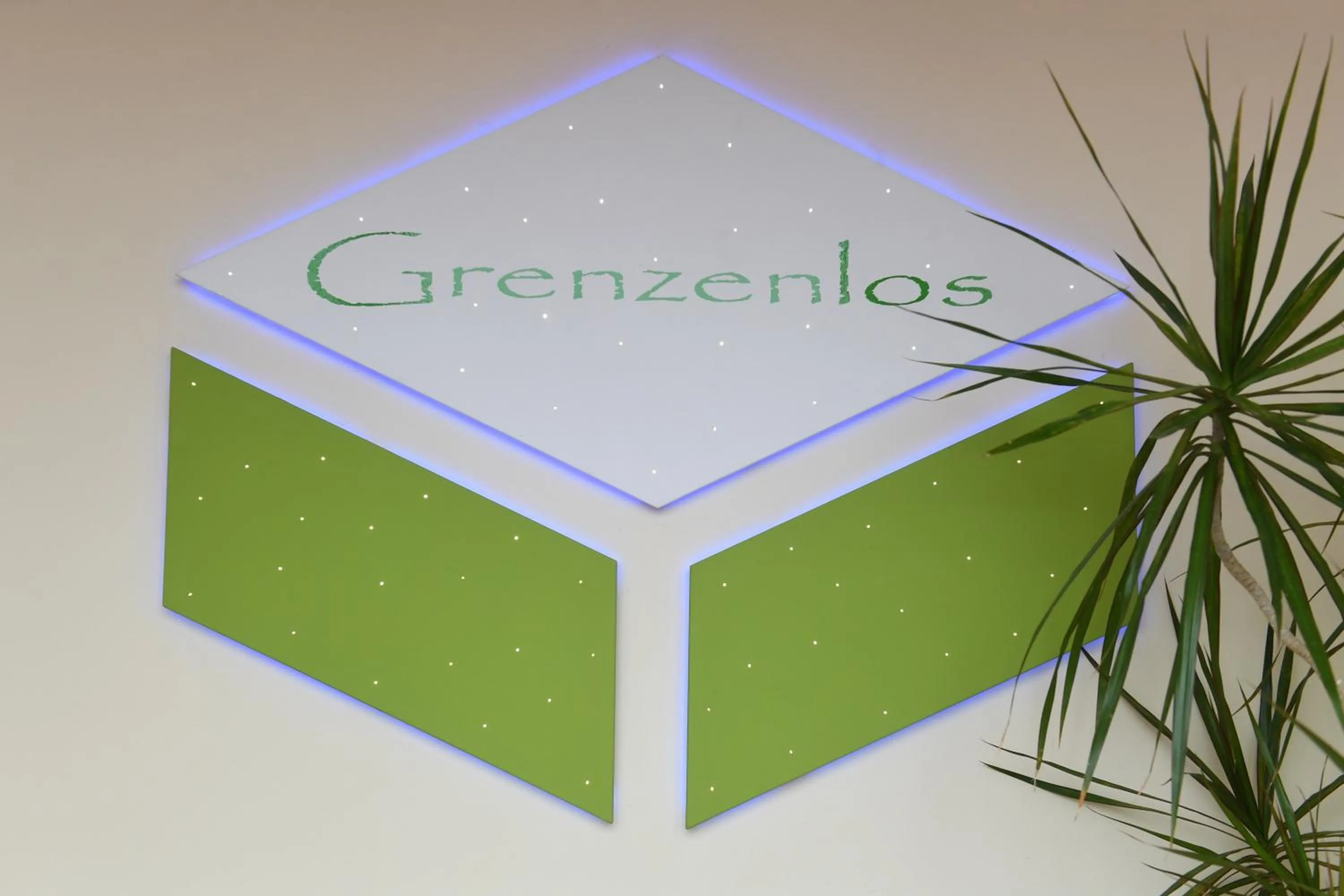 Logo/Certificate/Sign in Pension Grenzenlos