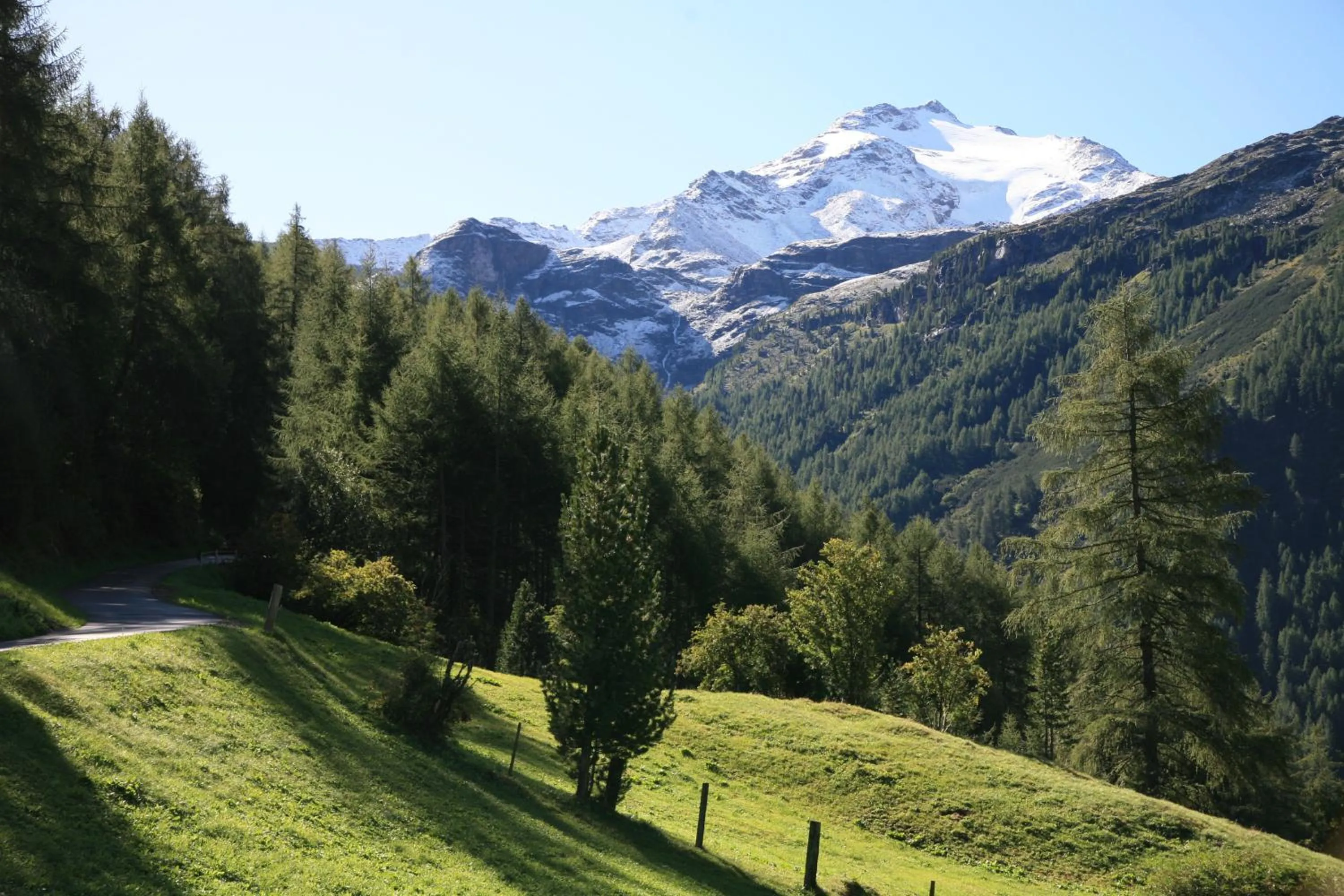 Area and facilities in Pichlerhof