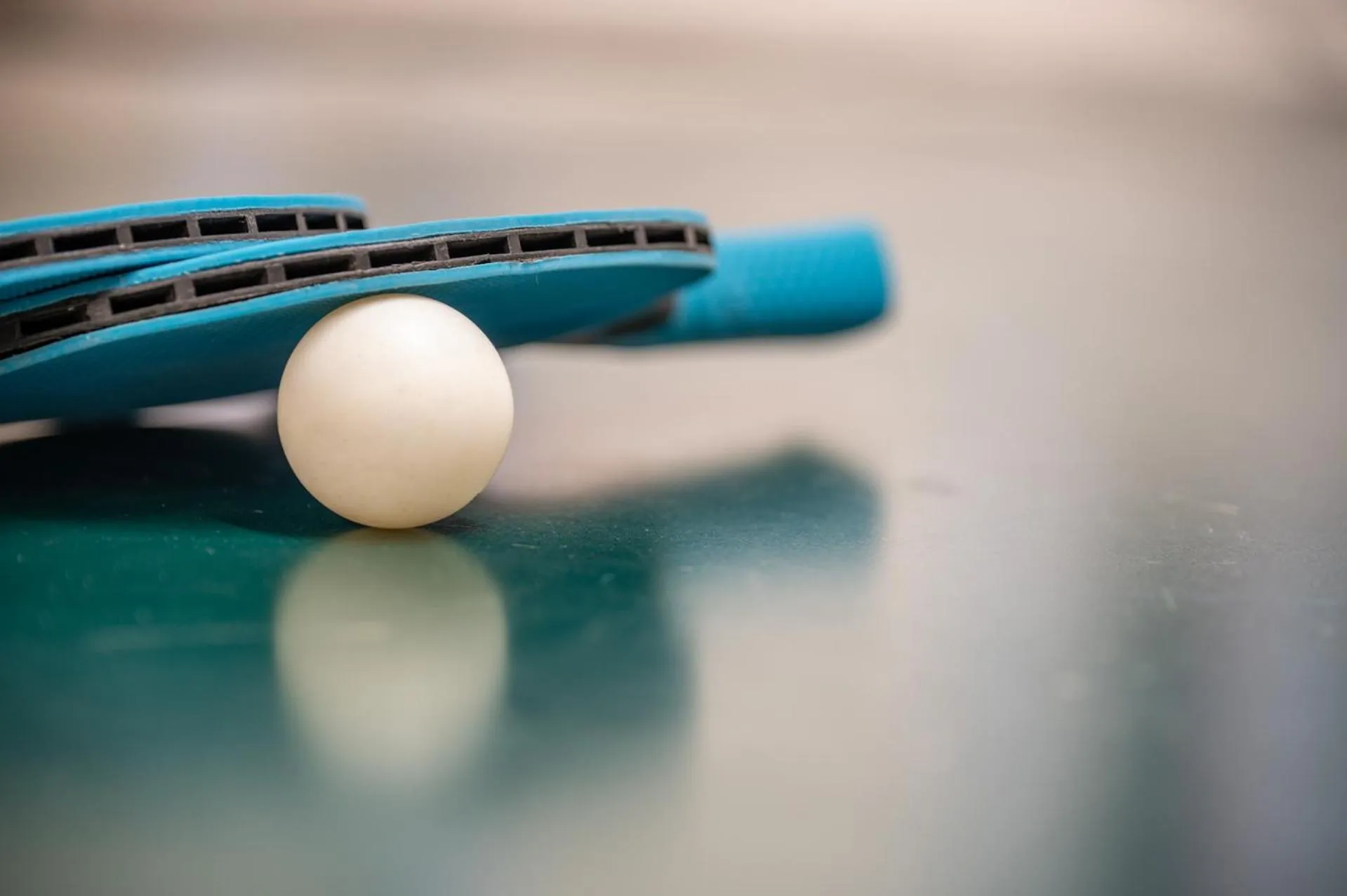 Game Room in Pichlerhof