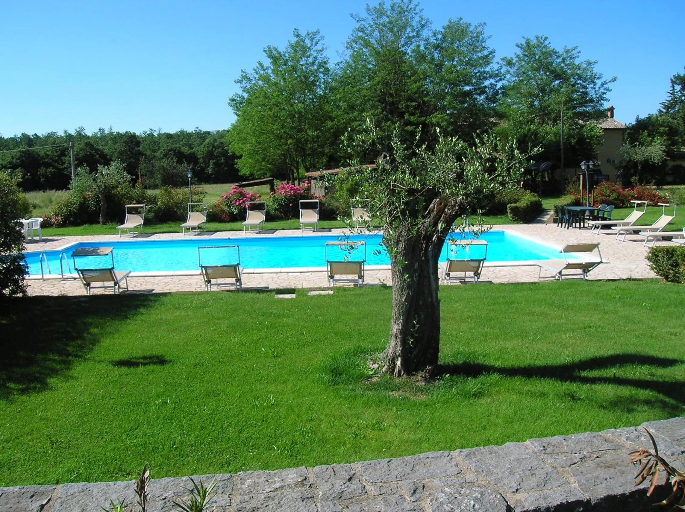 Swimming pool in Agriturismo Buonasera