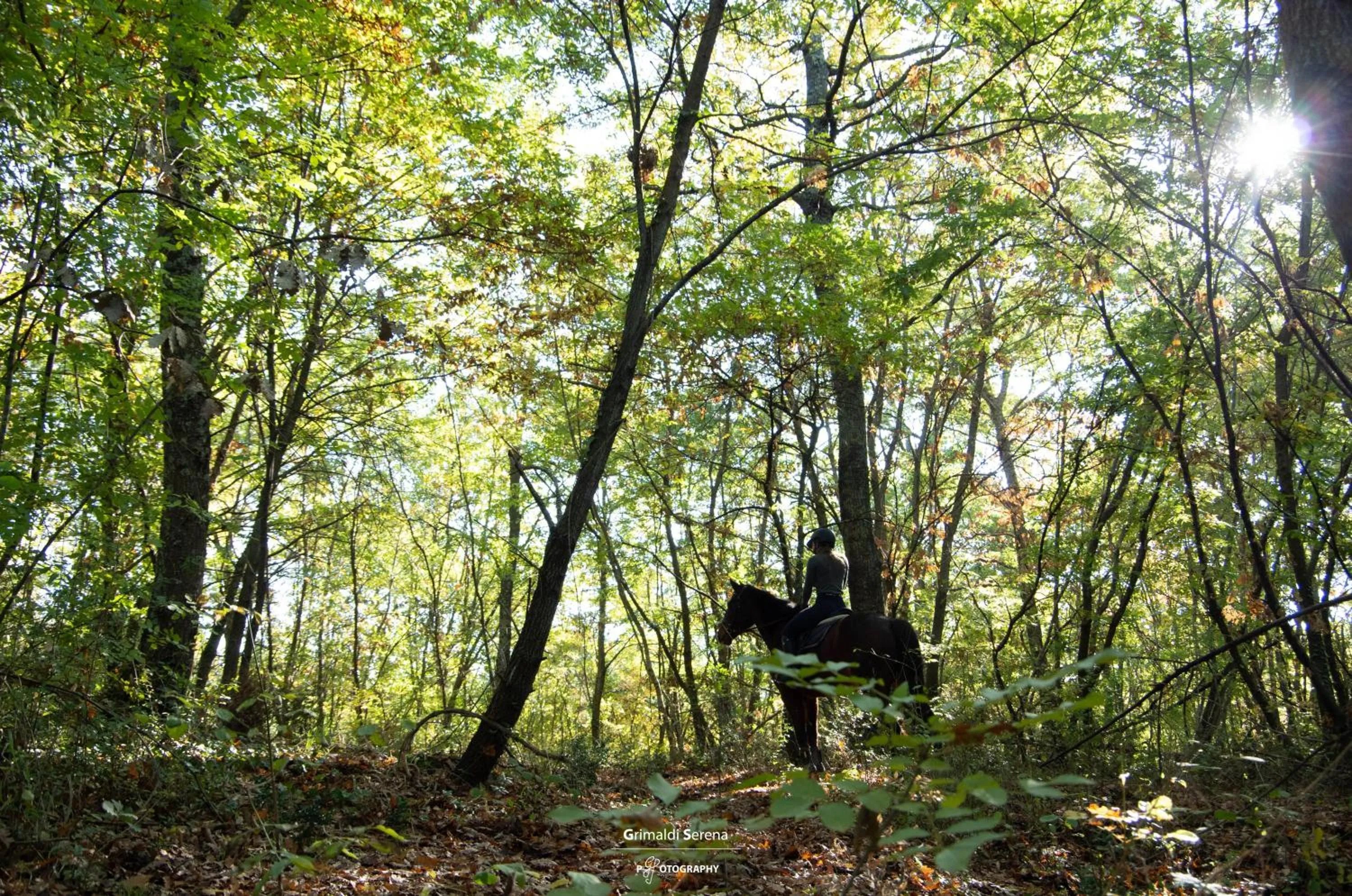 Horse-riding in Agriturismo Buonasera