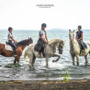 Horse-riding in Agriturismo Buonasera