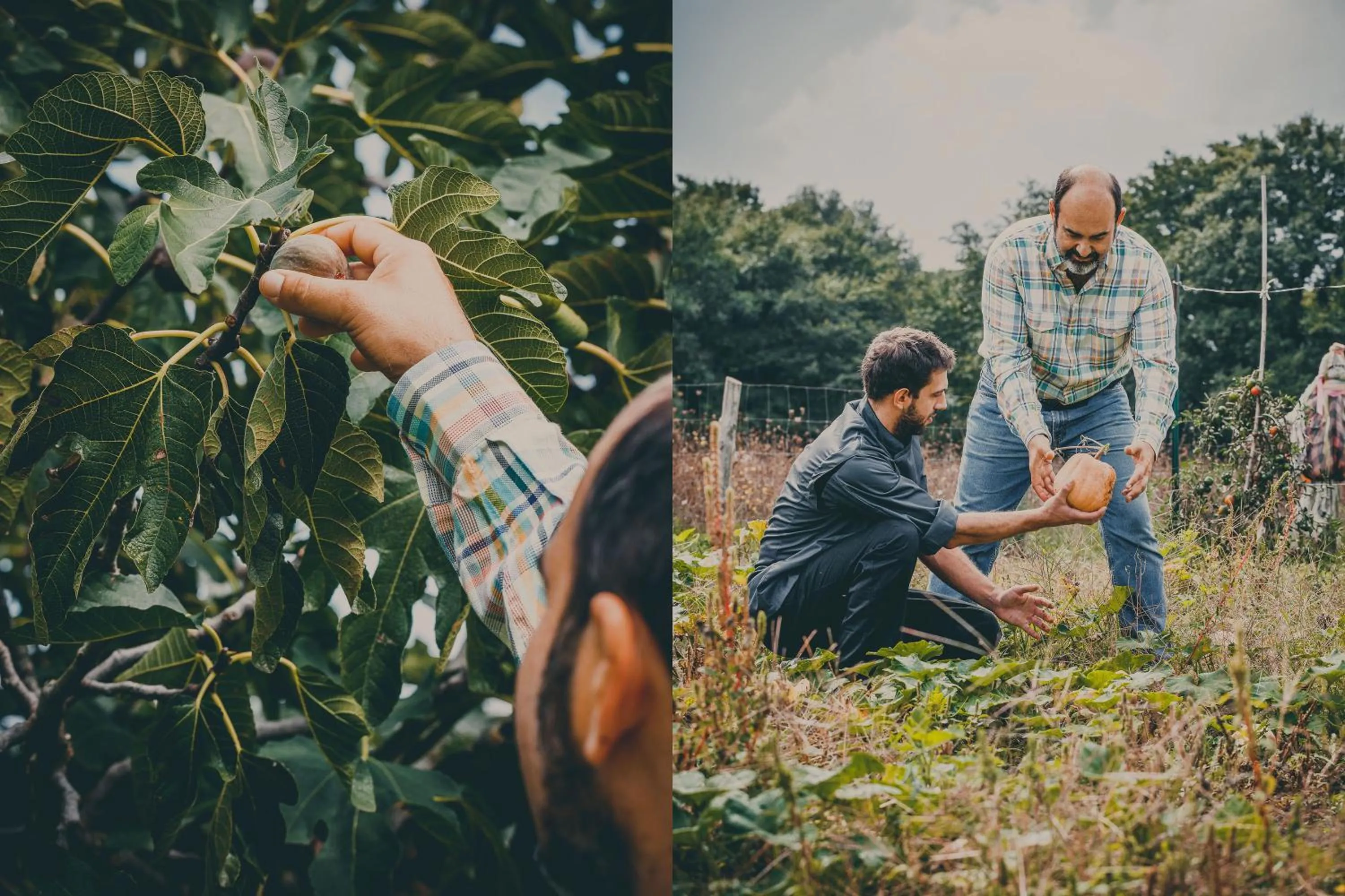 Staff in Agriturismo Buonasera