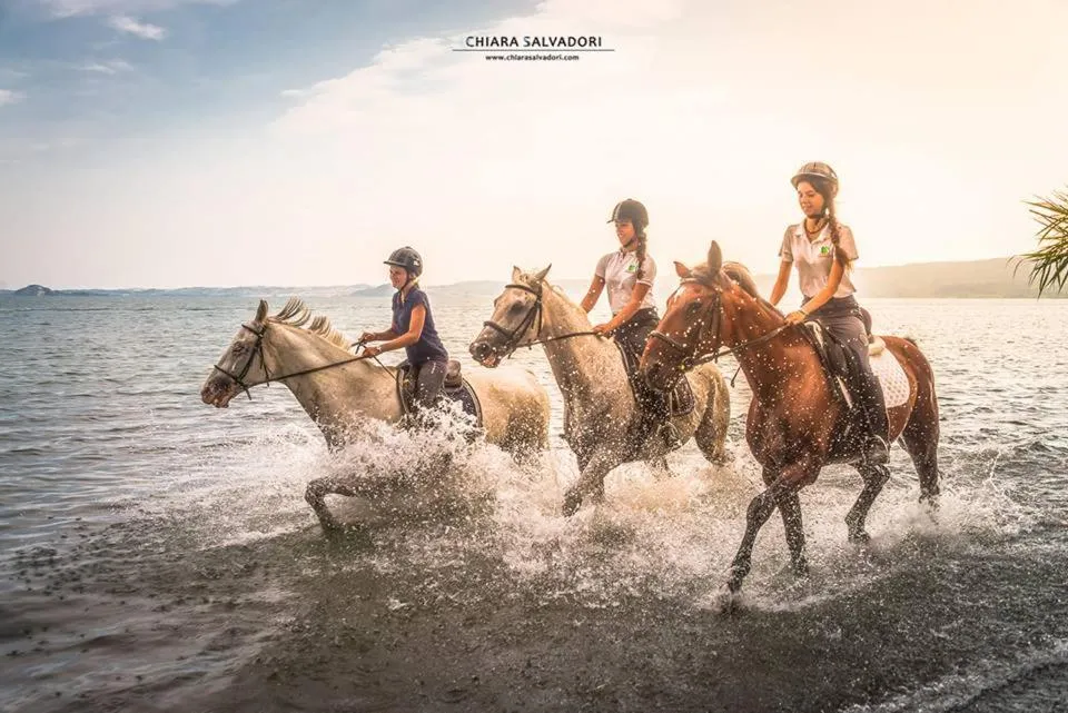 Horse-riding in Agriturismo Buonasera