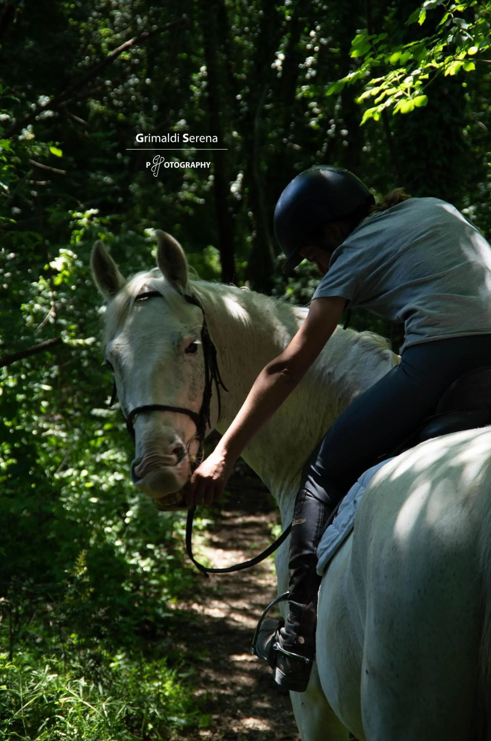 Horse-riding in Agriturismo Buonasera