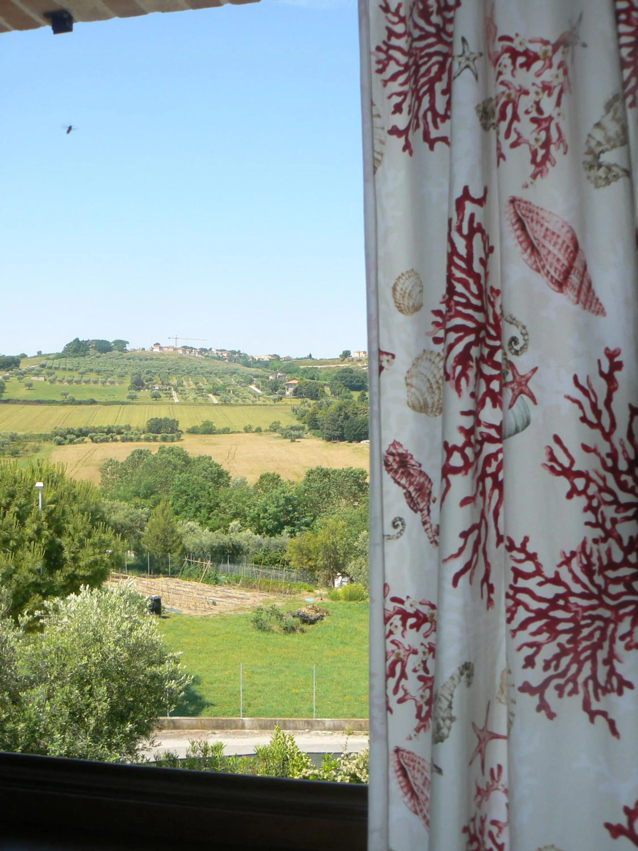 View (from property/room) in Antigua B&B