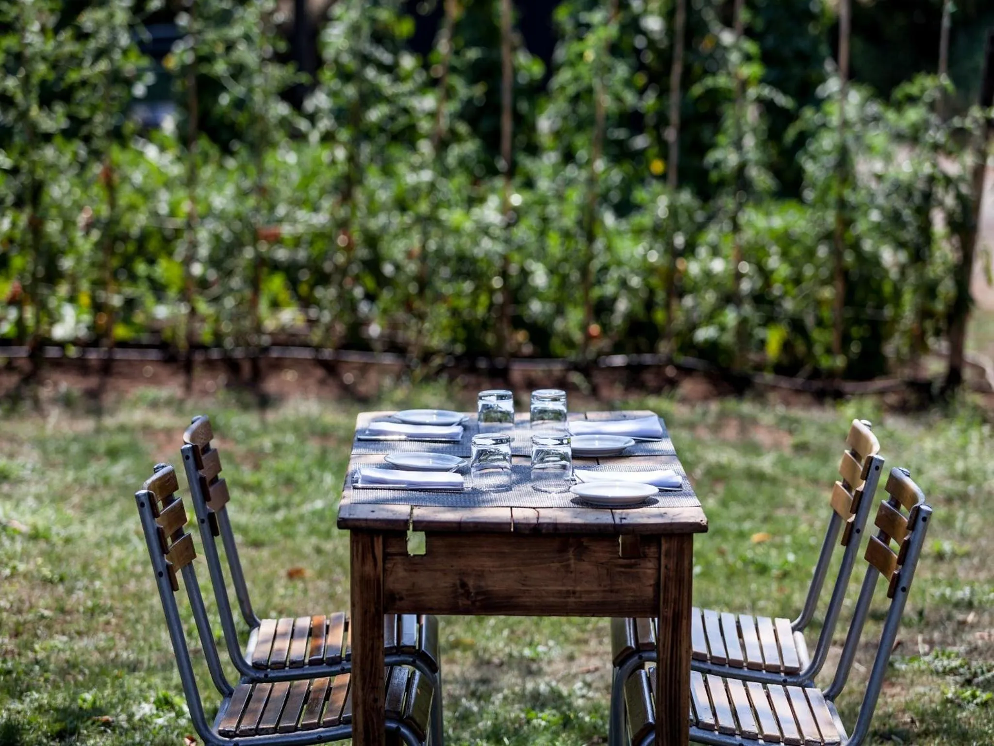 Garden in Antonello Colonna Resort & Spa