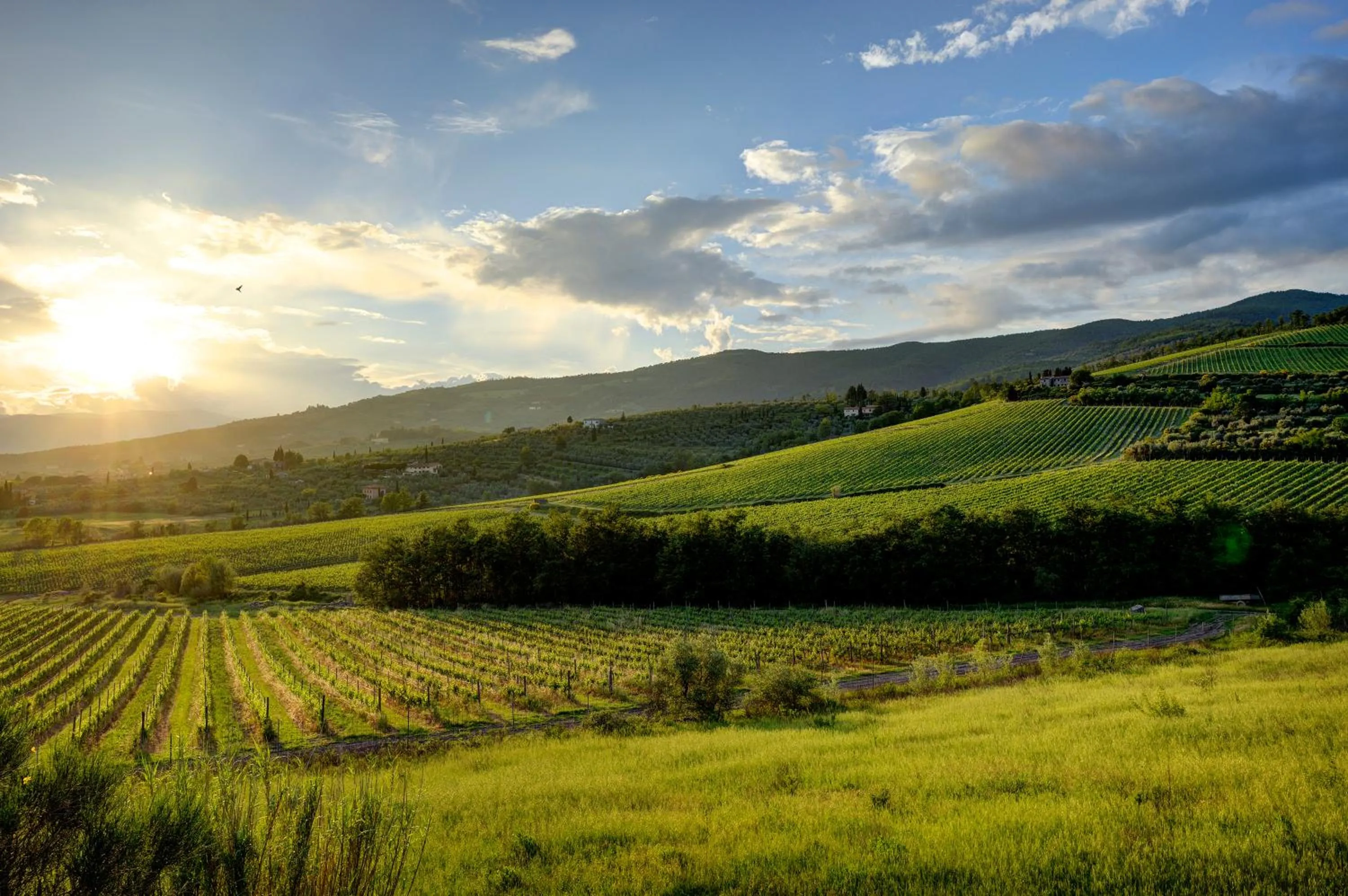 Borgo Antico Casalbosco Holiday Home & Winery