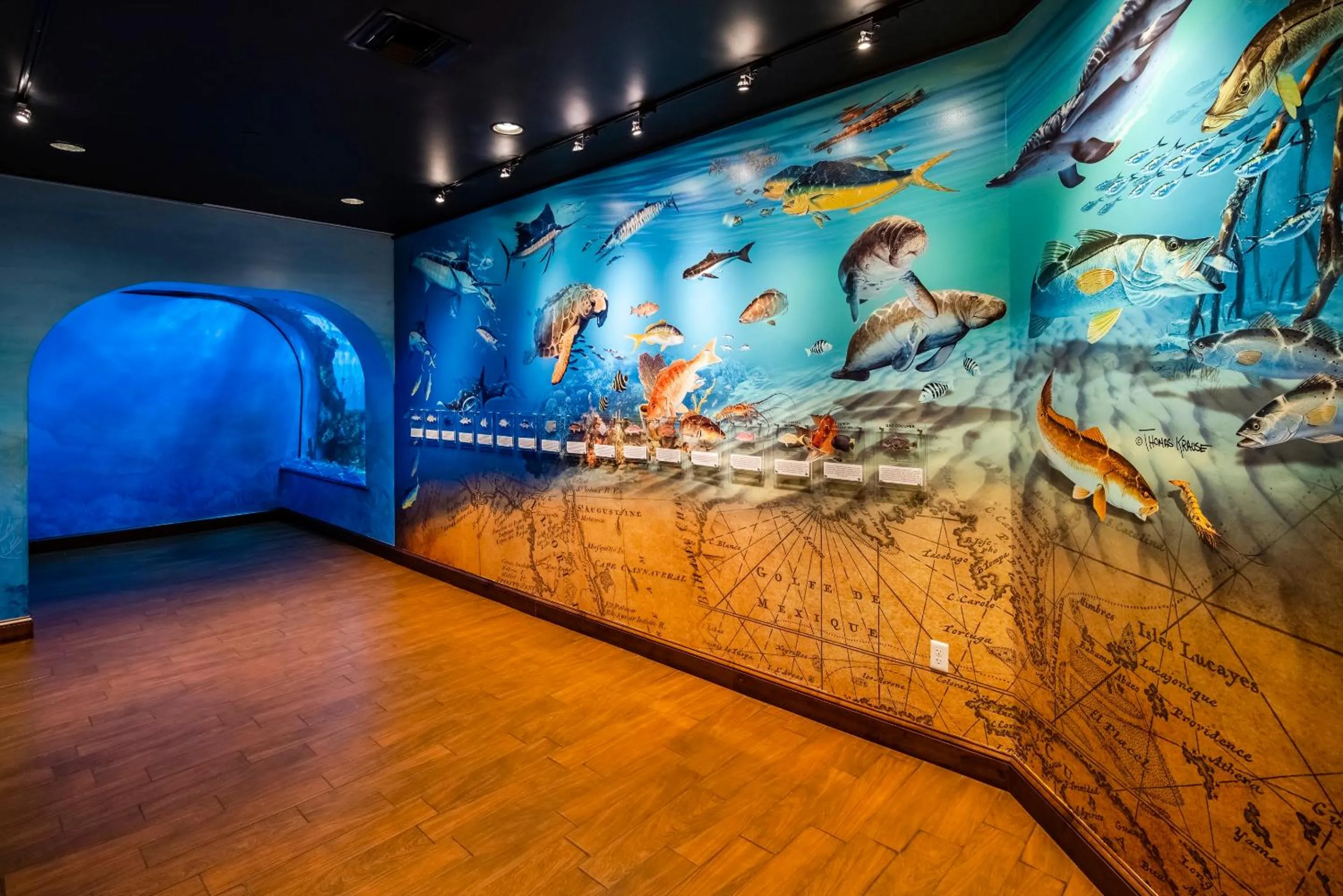 Area and facilities in RumFish Beach at TradeWinds