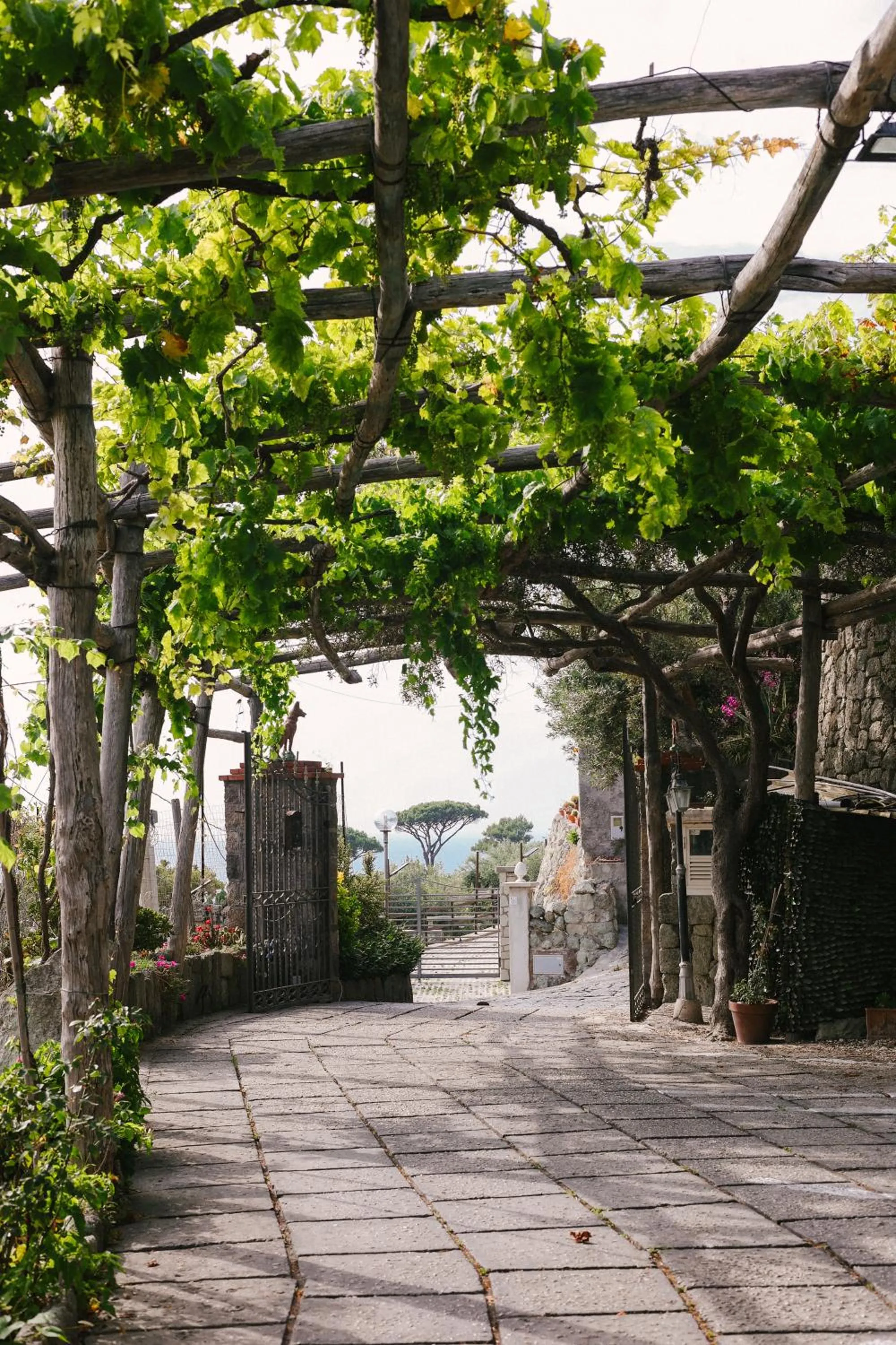 Hotel Villa Cimmentorosso