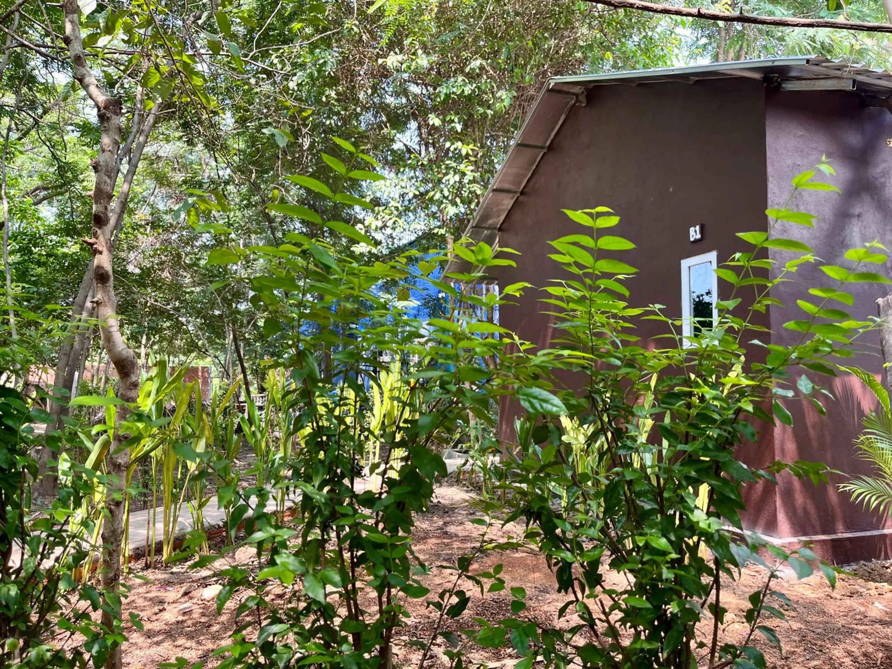 Natural landscape in River Nest Hostel