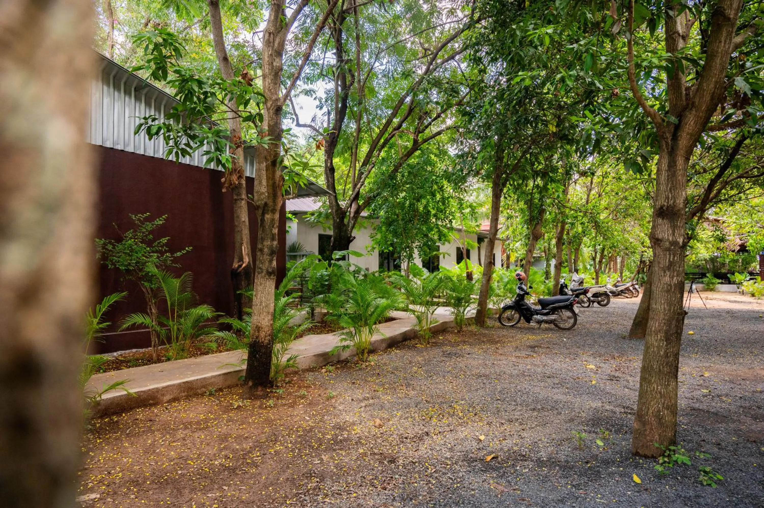 Natural landscape in River Nest Hostel
