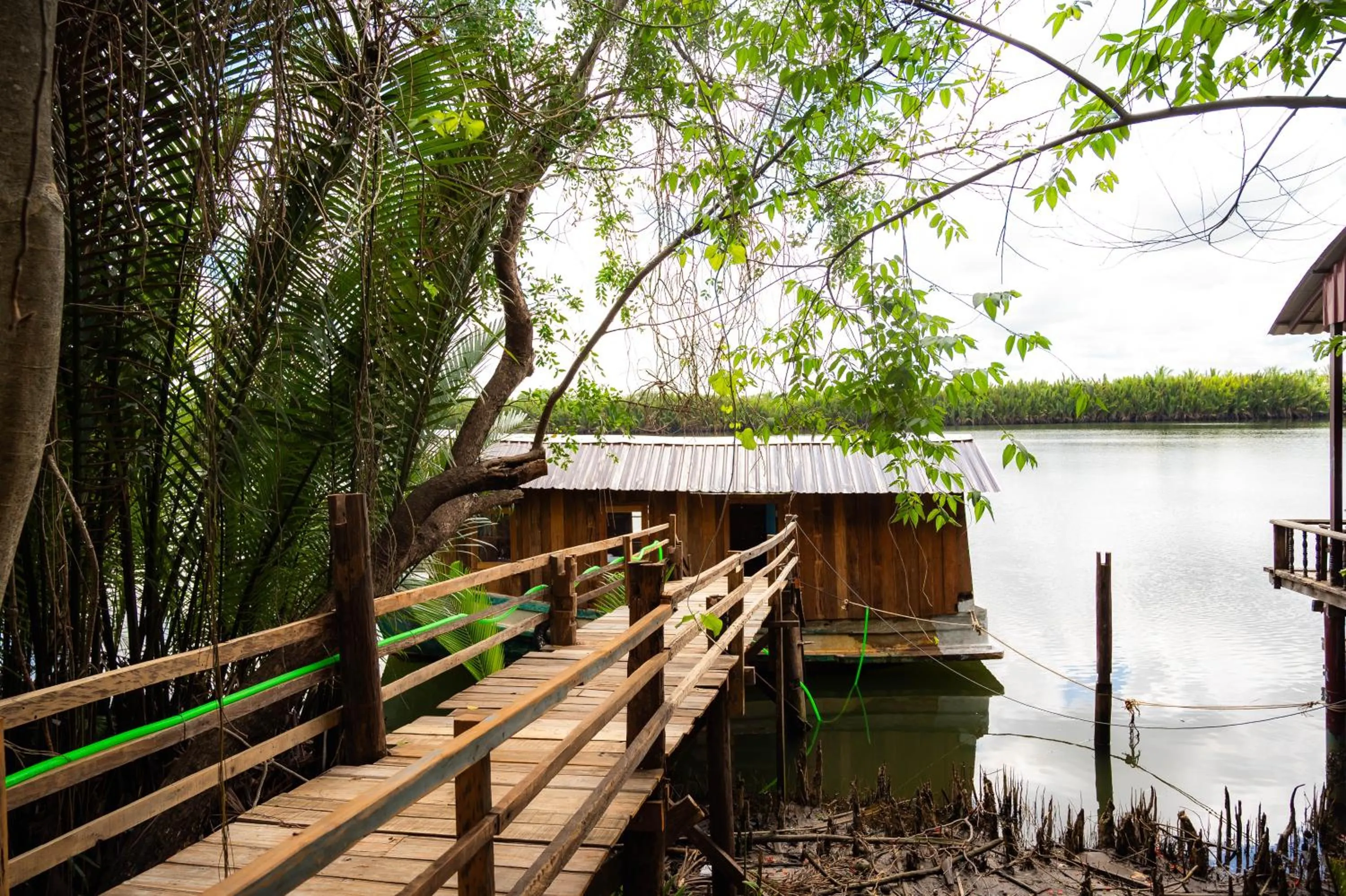 Natural landscape in River Nest Hostel