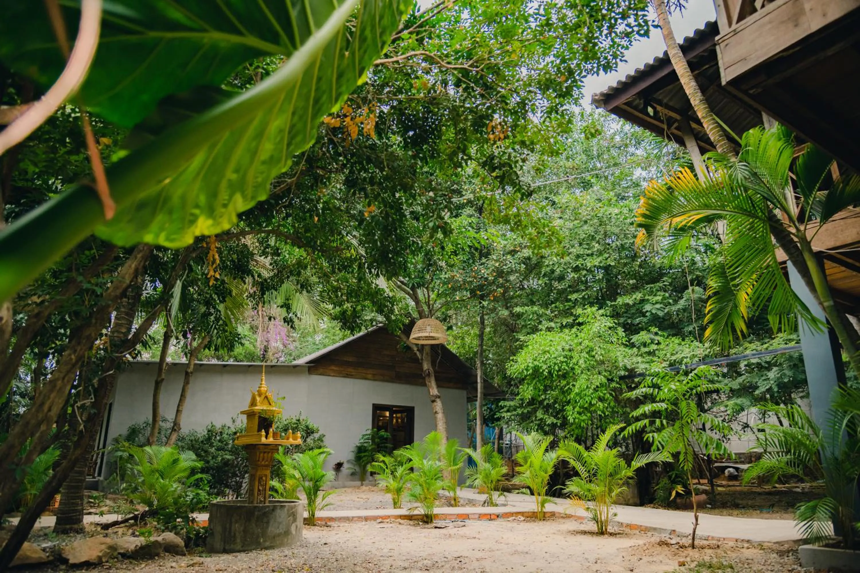 Natural landscape in River Nest Hostel