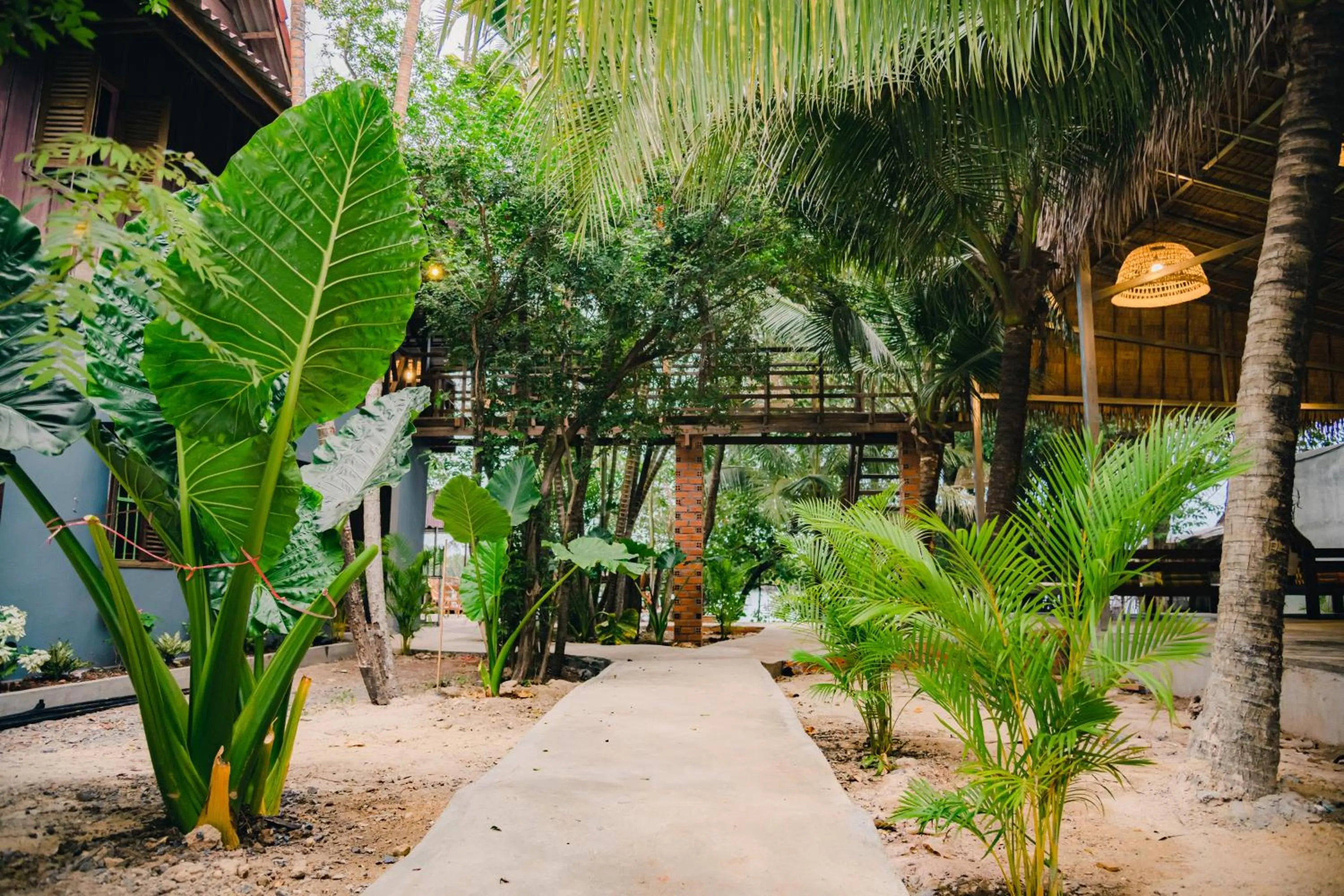 Garden in River Nest Hostel