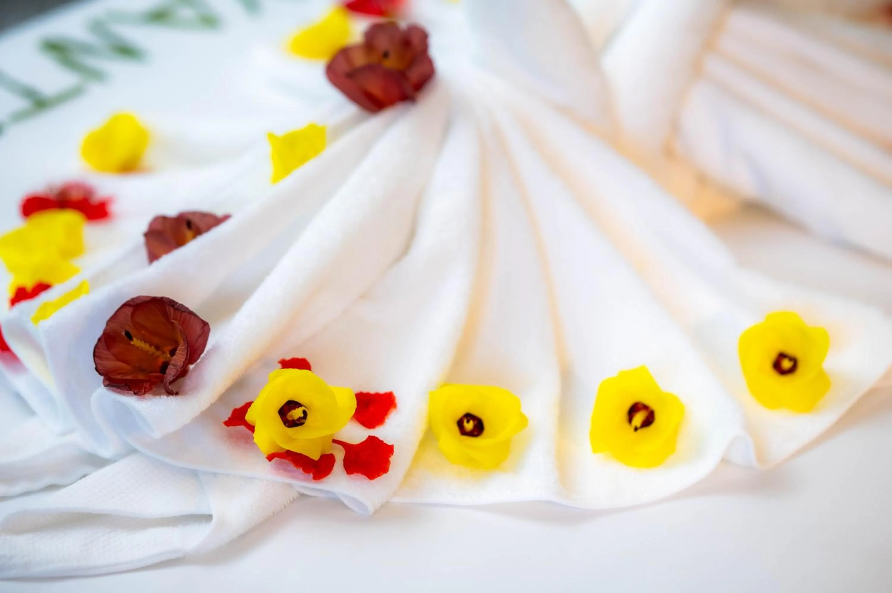 Bed in River Nest Hostel