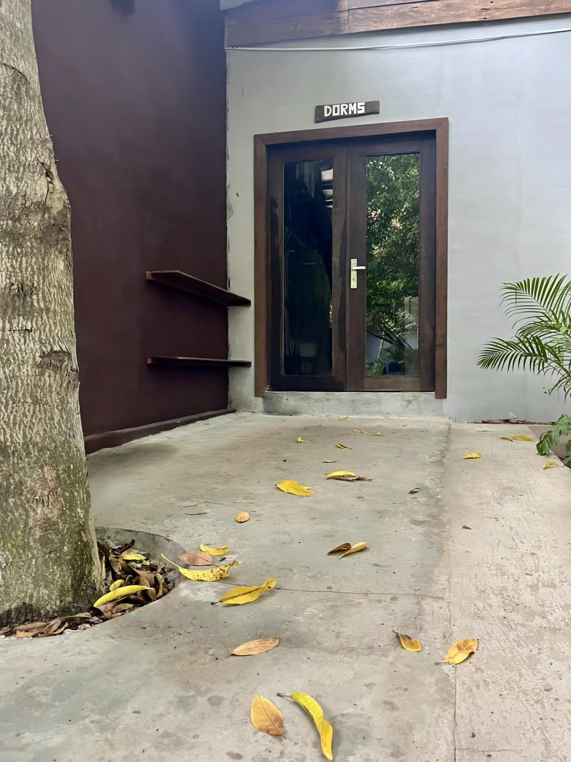 Property building in River Nest Hostel