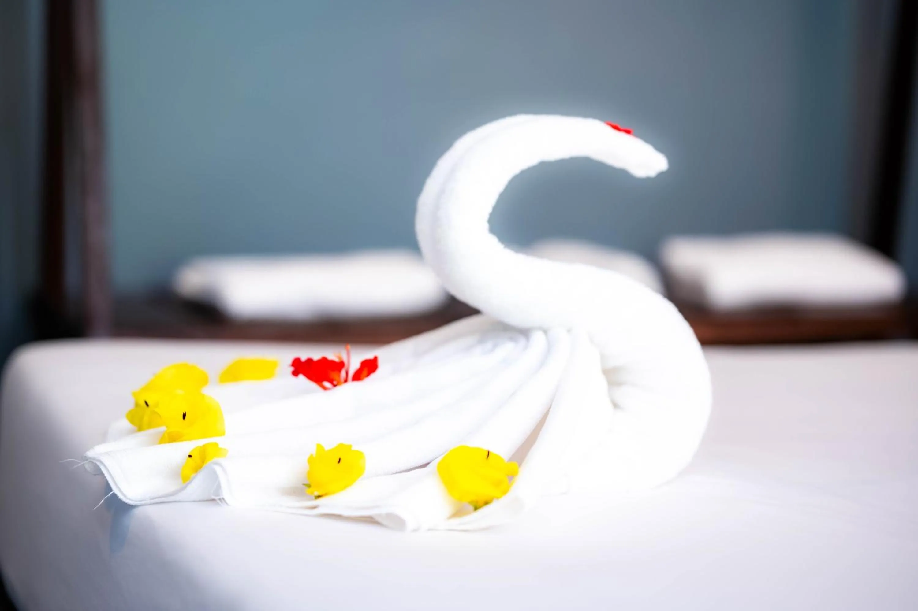 Bed in River Nest Hostel