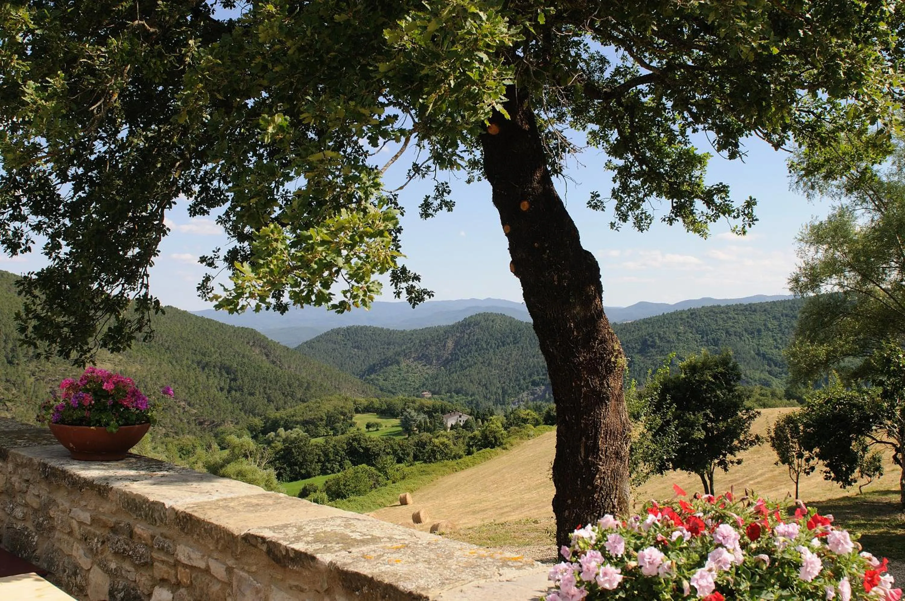 Garden view in Locanda Del Viandante B&B
