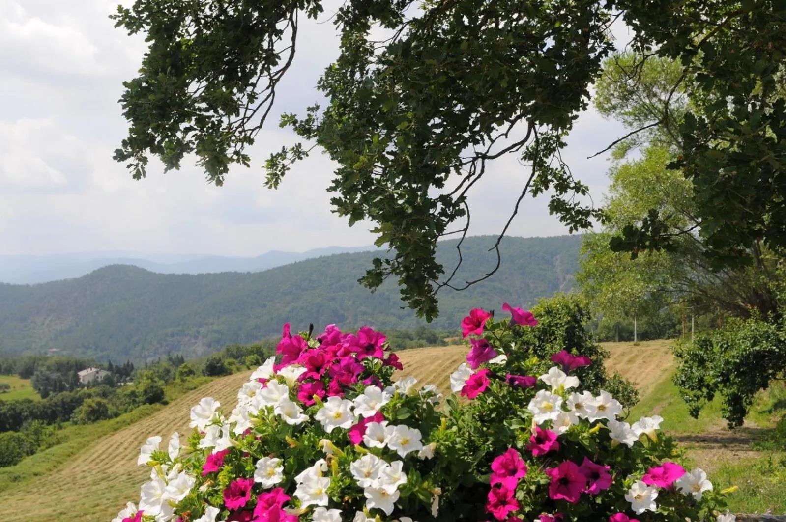 Spring in Locanda Del Viandante B&B