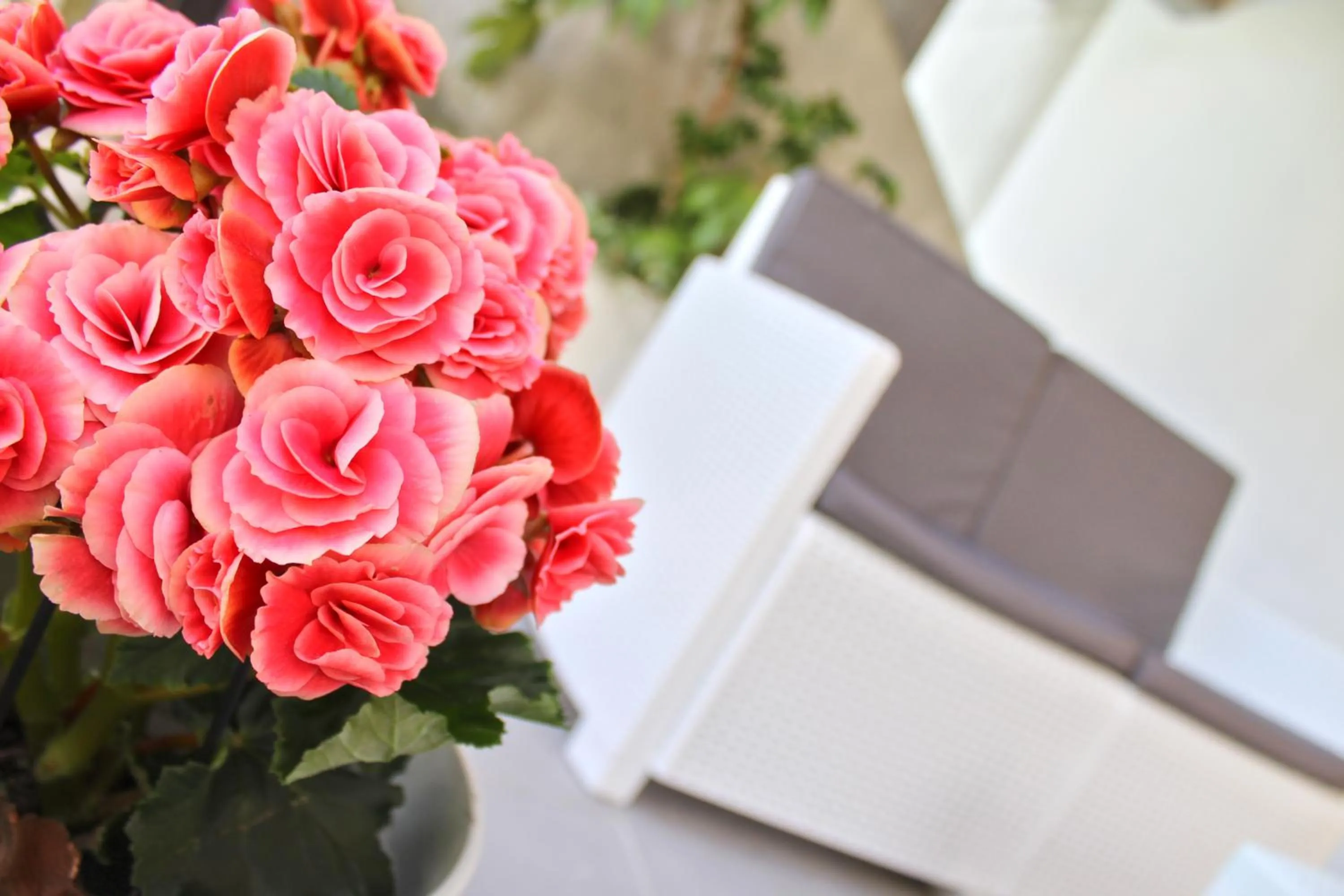 Decorative detail in Park Hotel