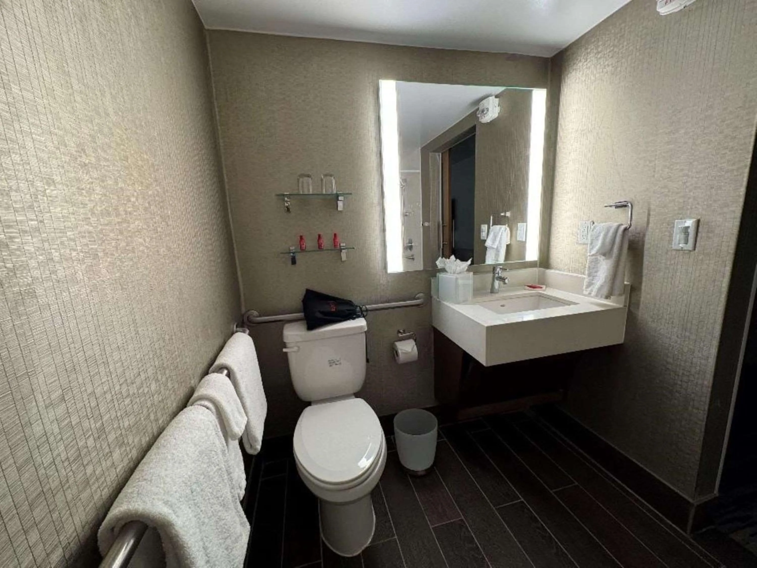 Bathroom in Skyline Hotel Detroit Airport, SureStay Collection by Best Western