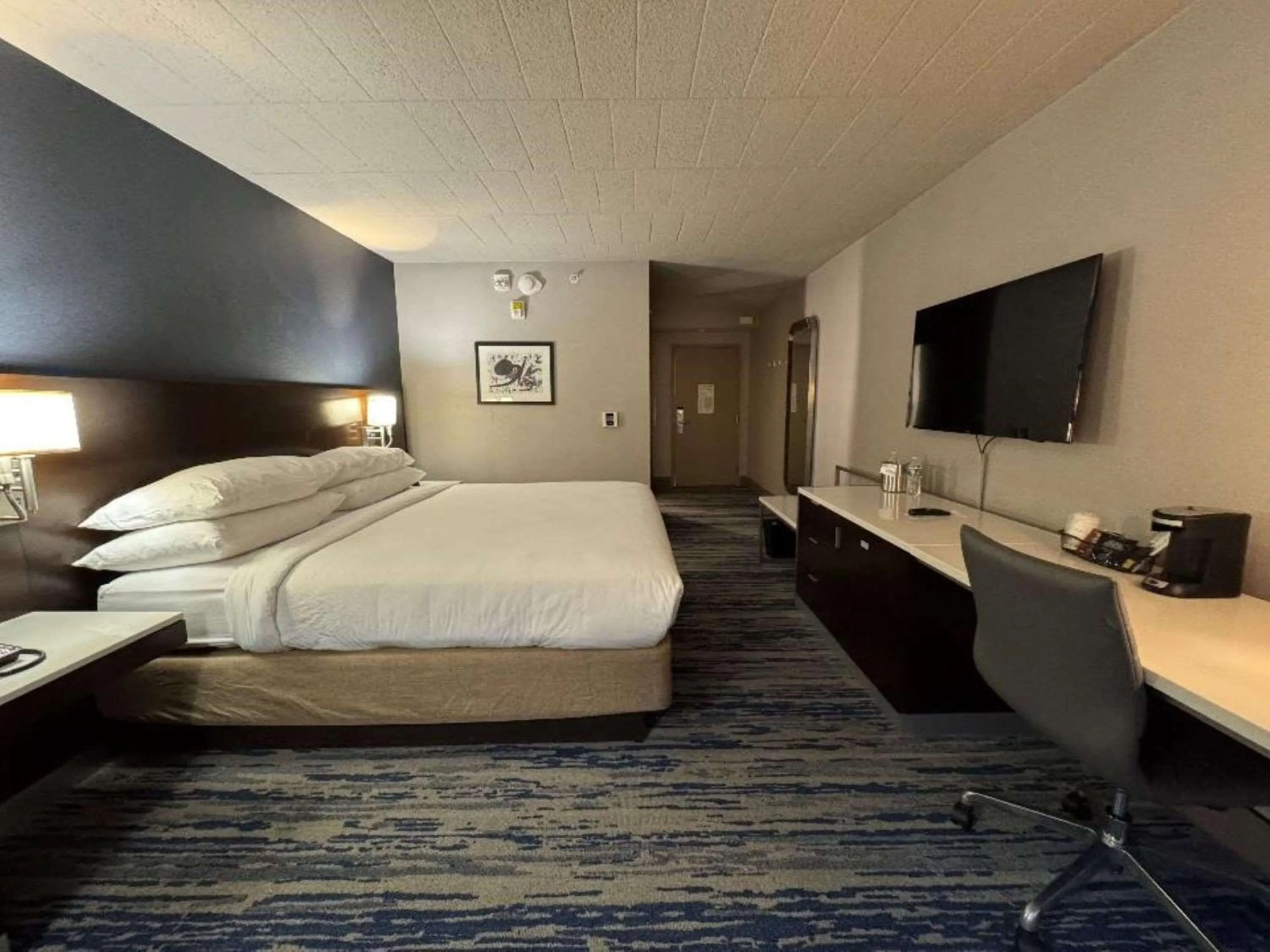 TV and multimedia, Bed in Skyline Hotel Detroit Airport, SureStay Collection by Best Western