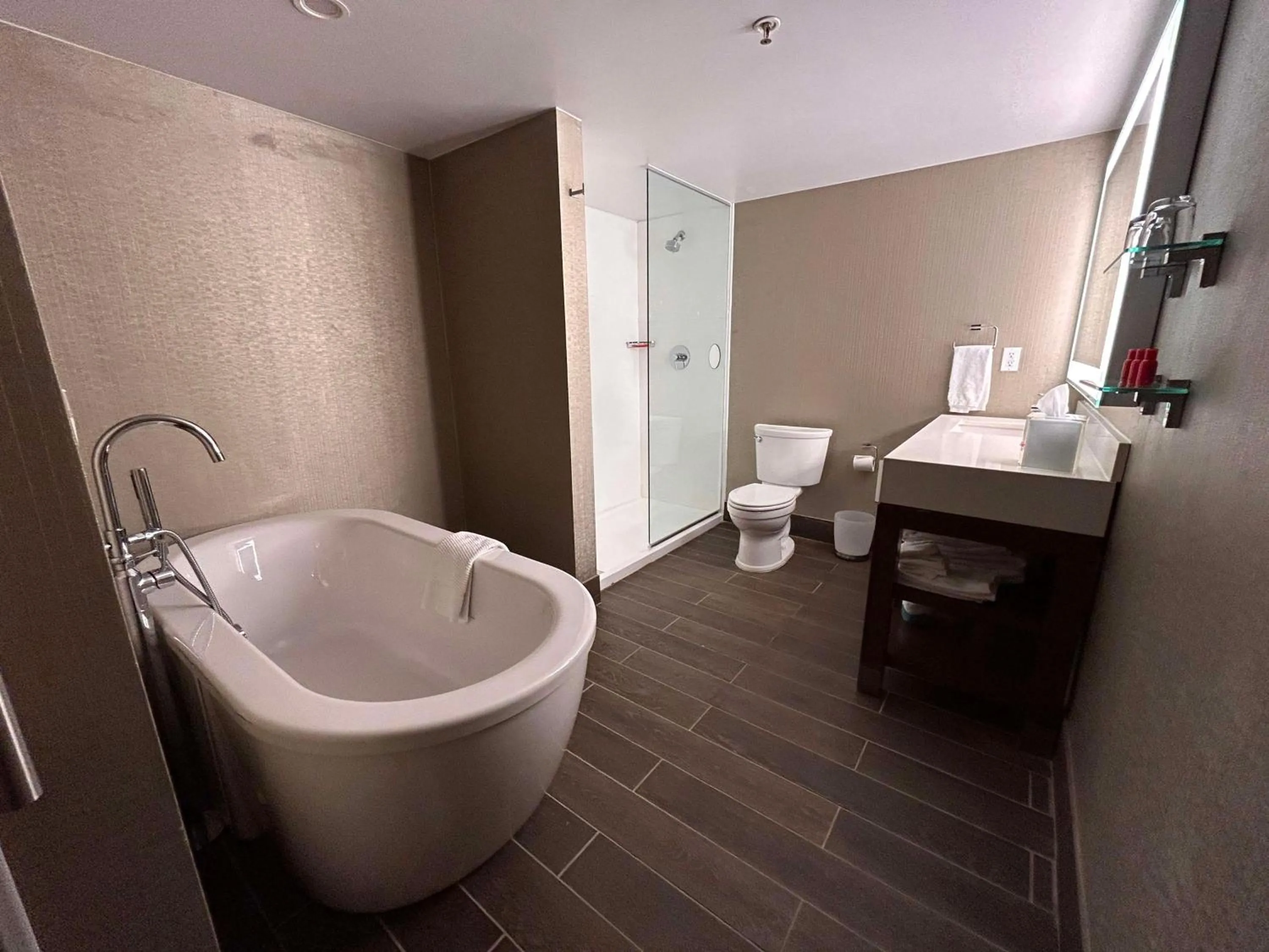 Bathroom in Skyline Hotel Detroit Airport, SureStay Collection by Best Western