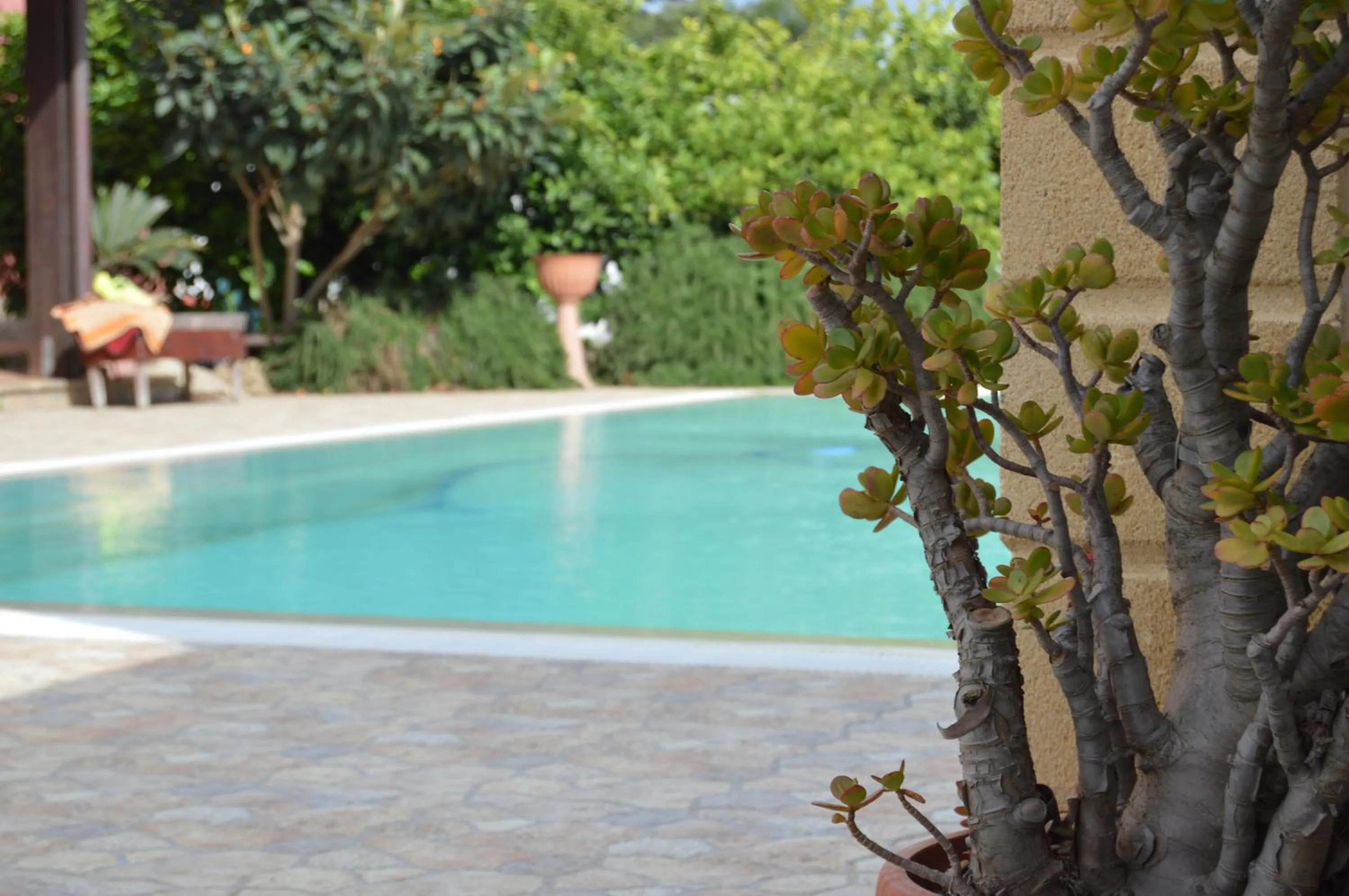 Decorative detail in Hotel Rainbow Resort